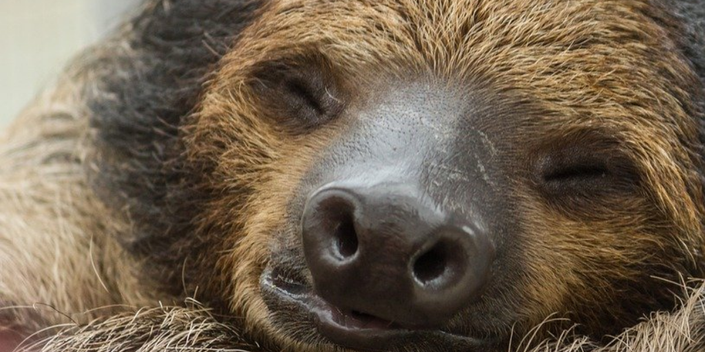 Depression's Early Warning System