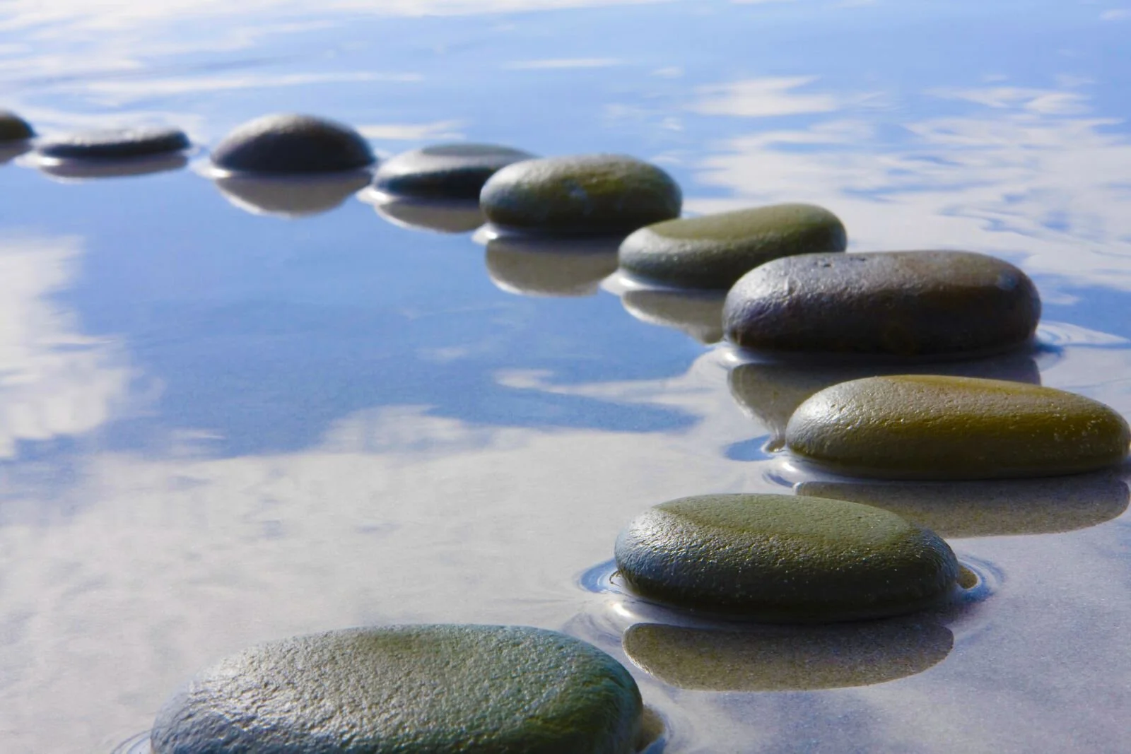 Annual Meeting Follow-Up (Soup Provided, Salads &amp; Desserts Welcomed)