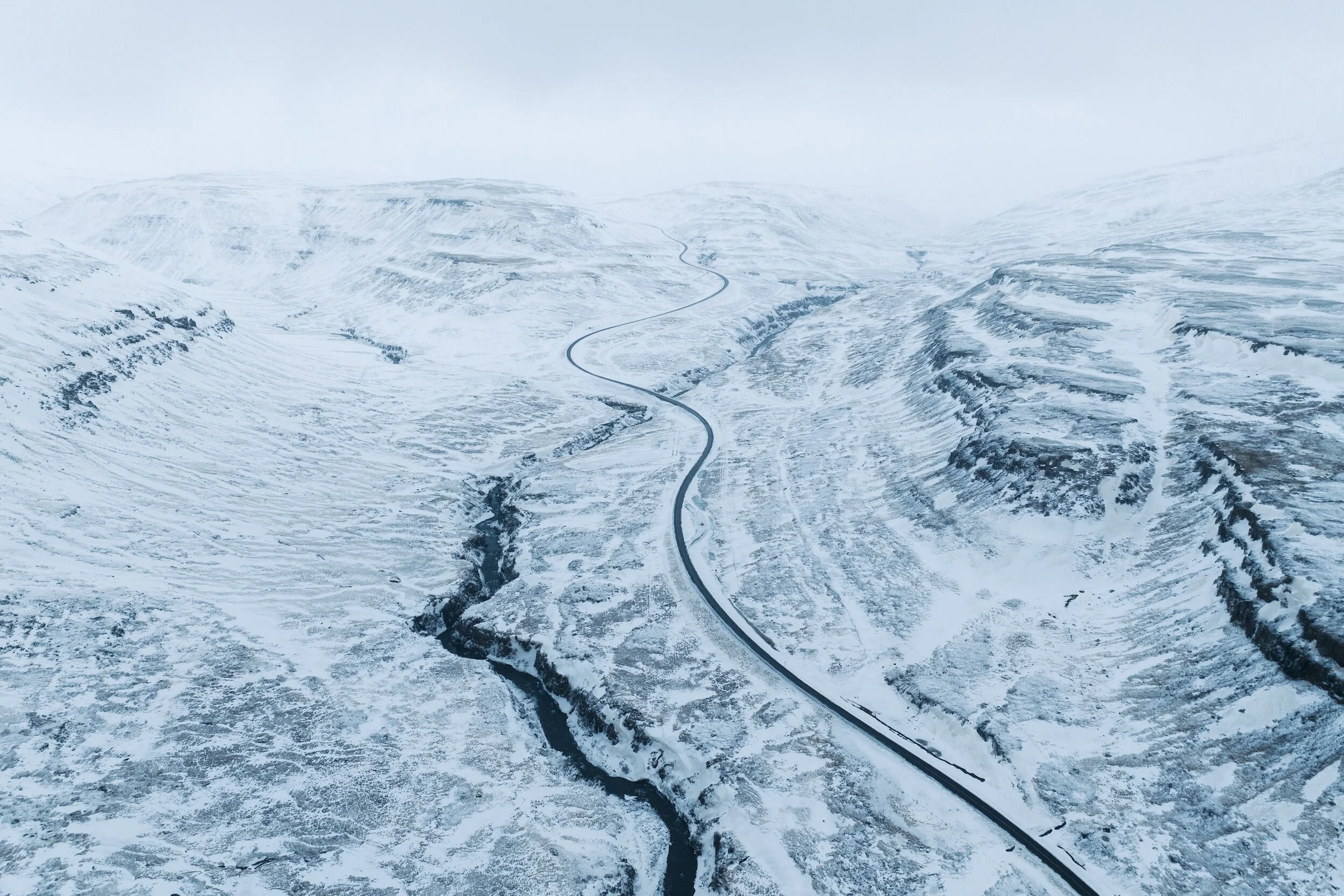 Building a future in Liberation and Love