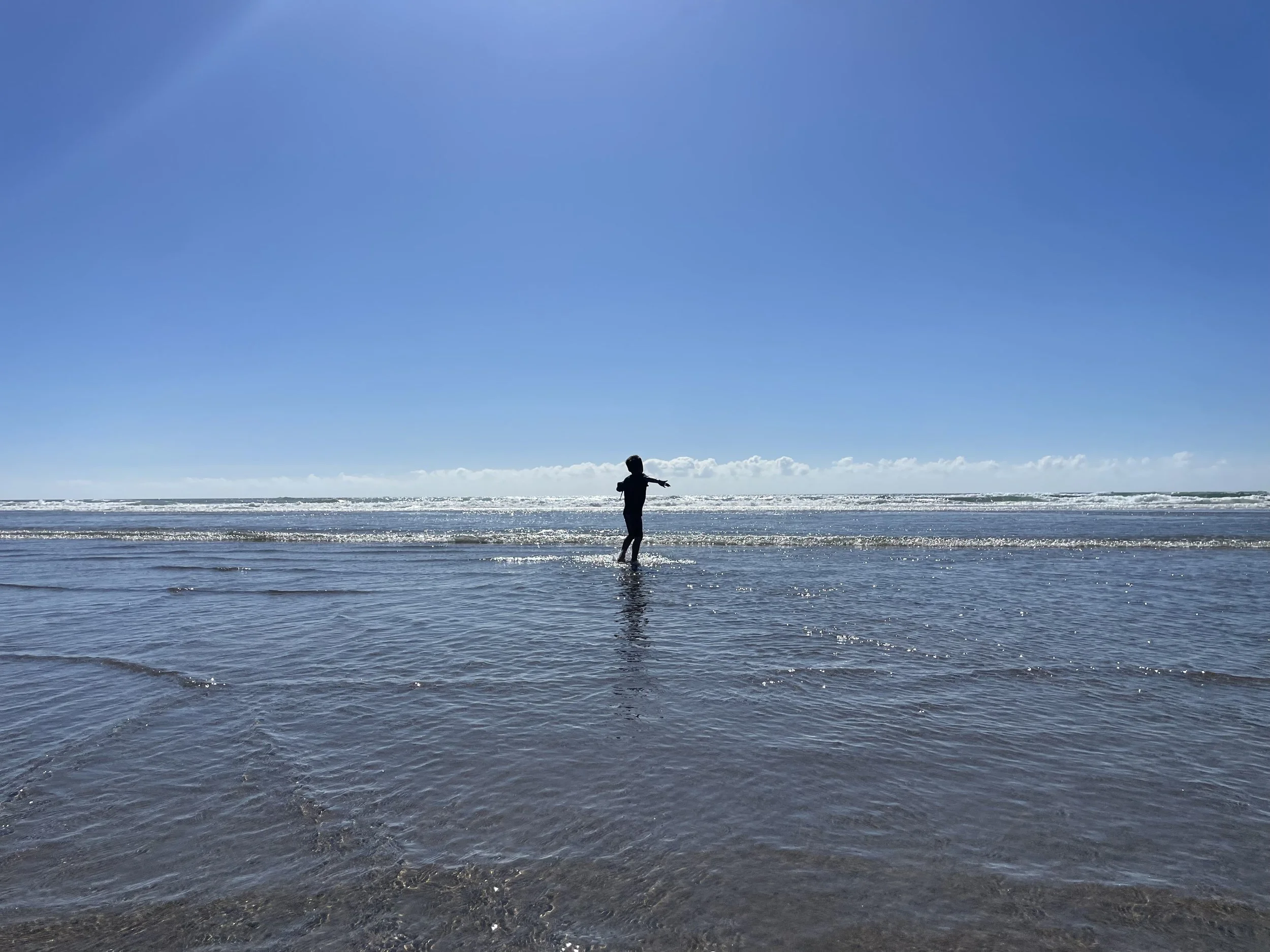 Resilience as New Life: Leaven Updates, Fall 2025