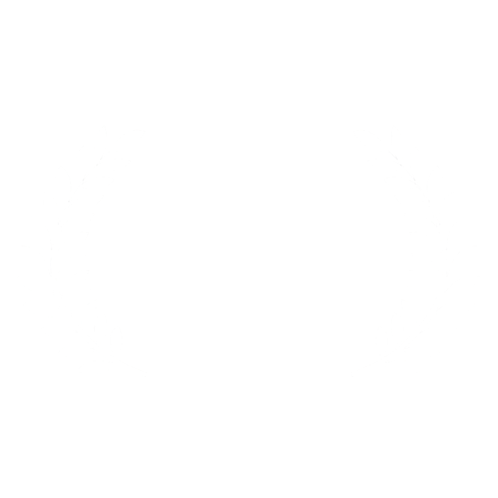 South Asian Film Festival Of America