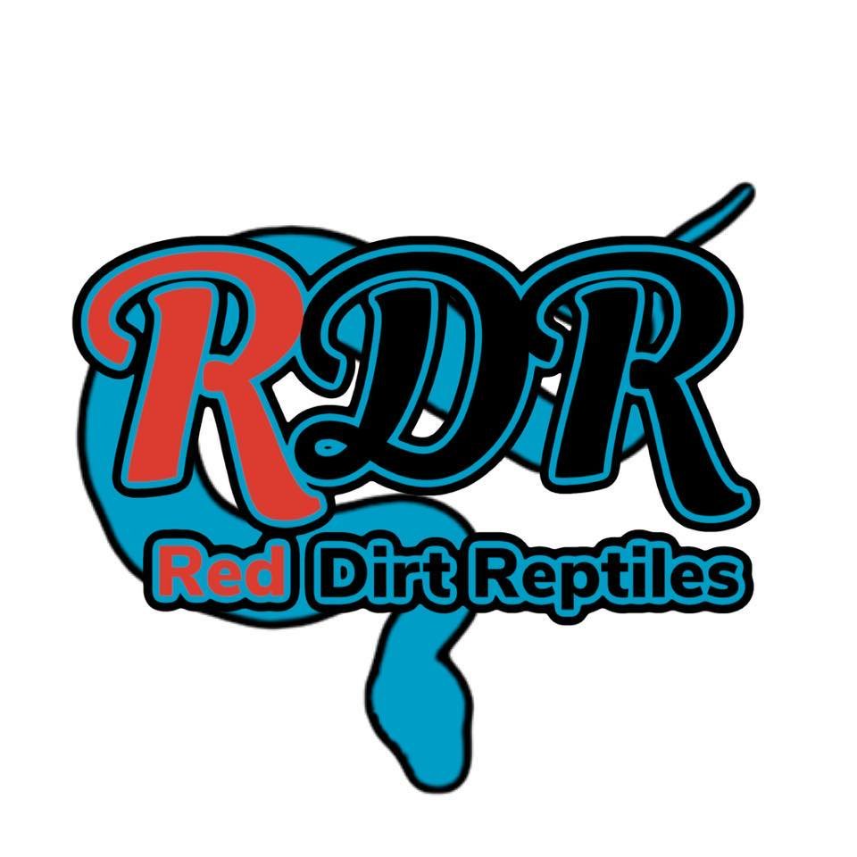 red dirt reptiles.jpeg