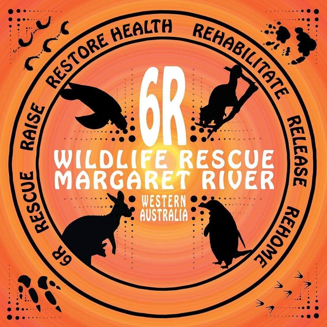 6r reptile rescue logo.jpeg