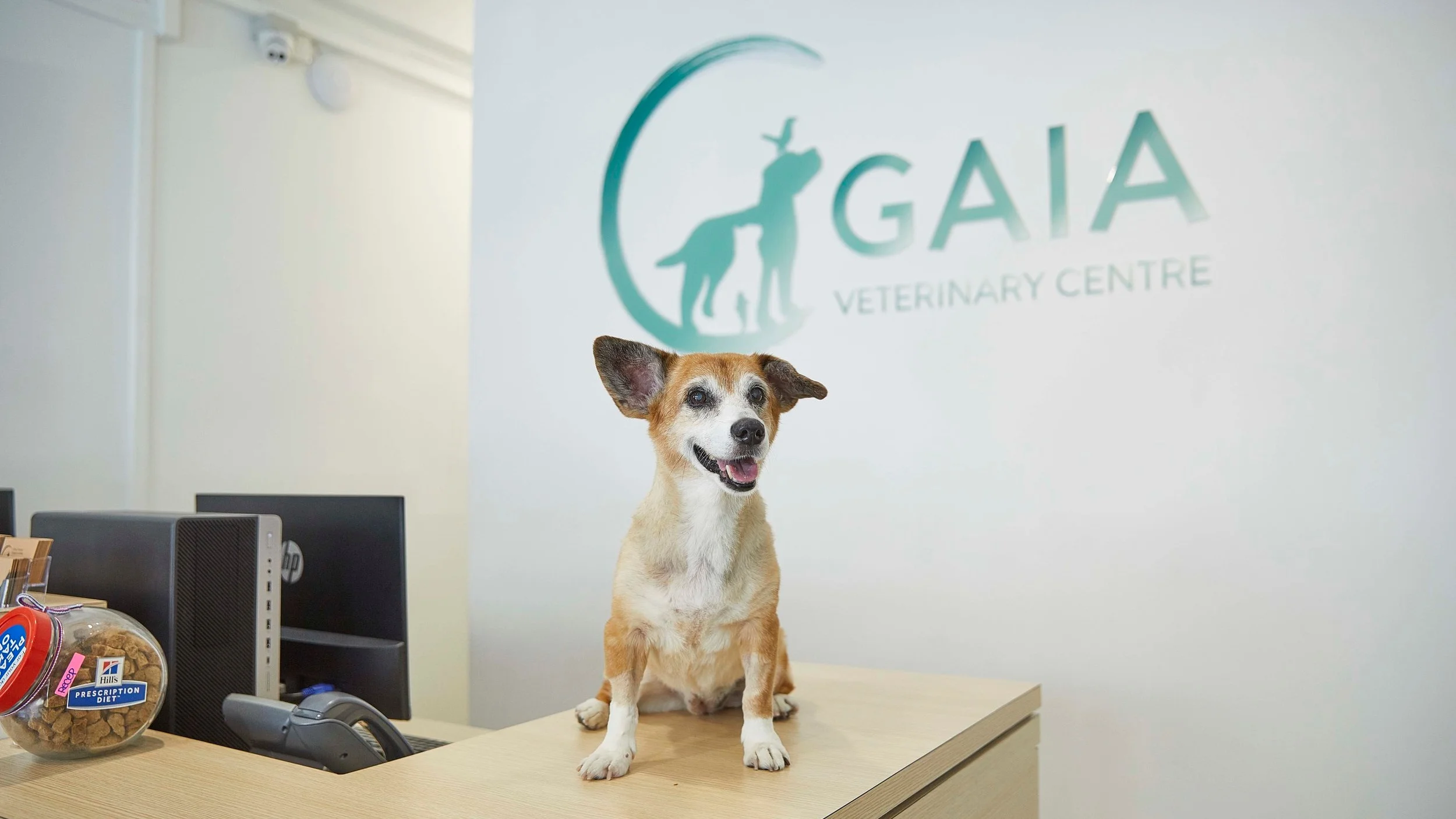 Gaia+Veterinary+Centre.jpg