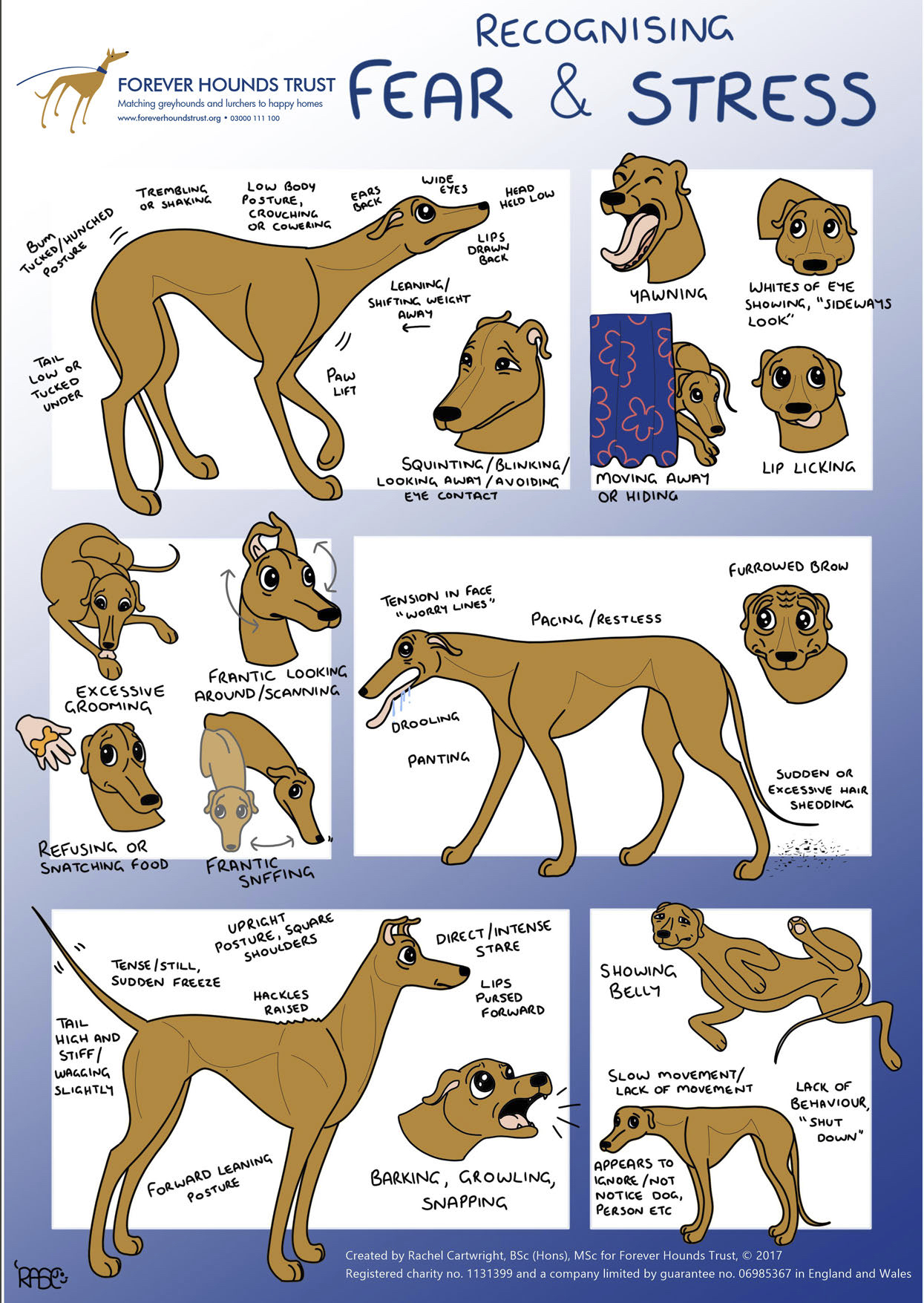 Illustrated guide from Forever Hounds Trust .