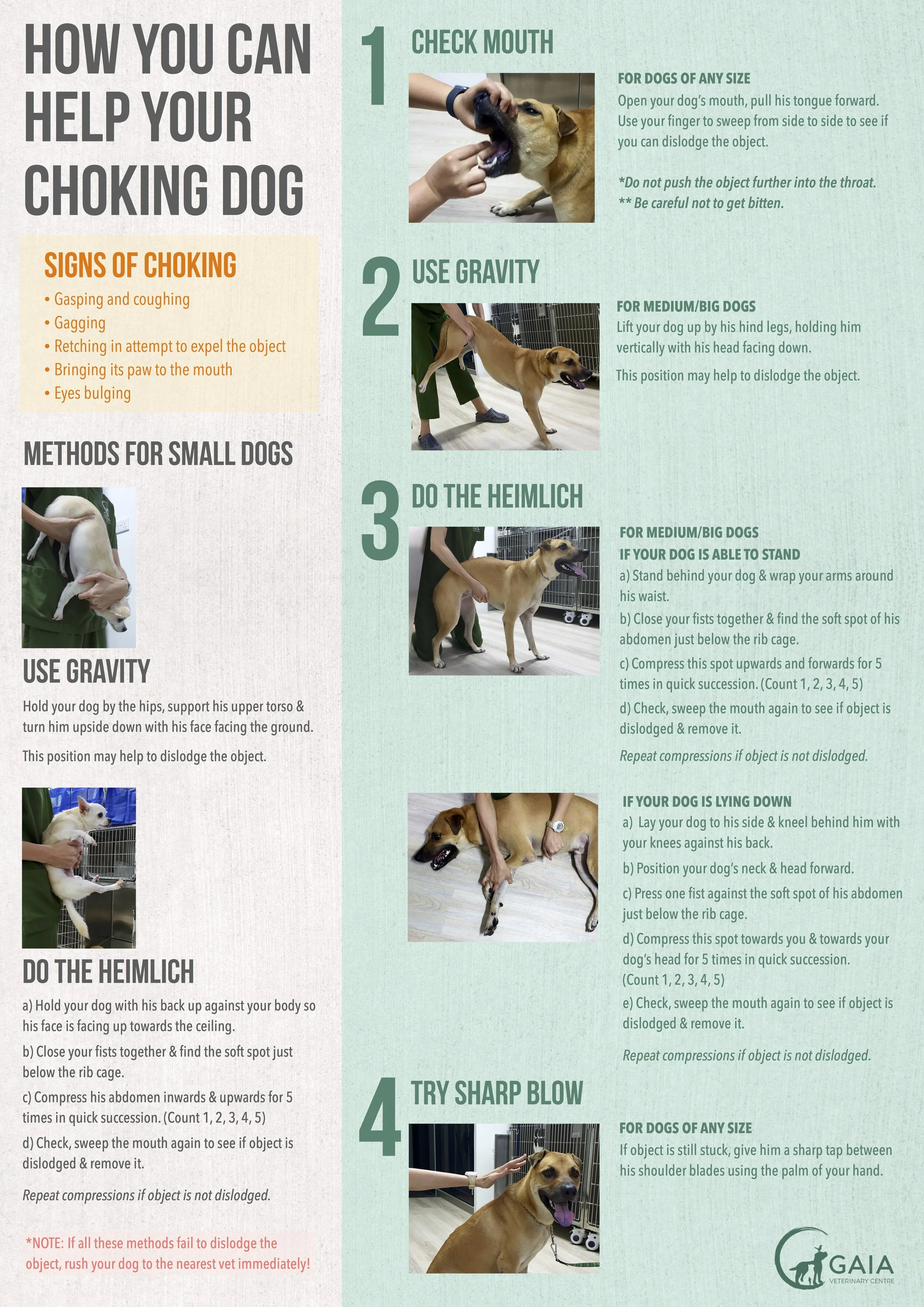 Handy Handout How To Help Your Choking Dog GAIAVETS
