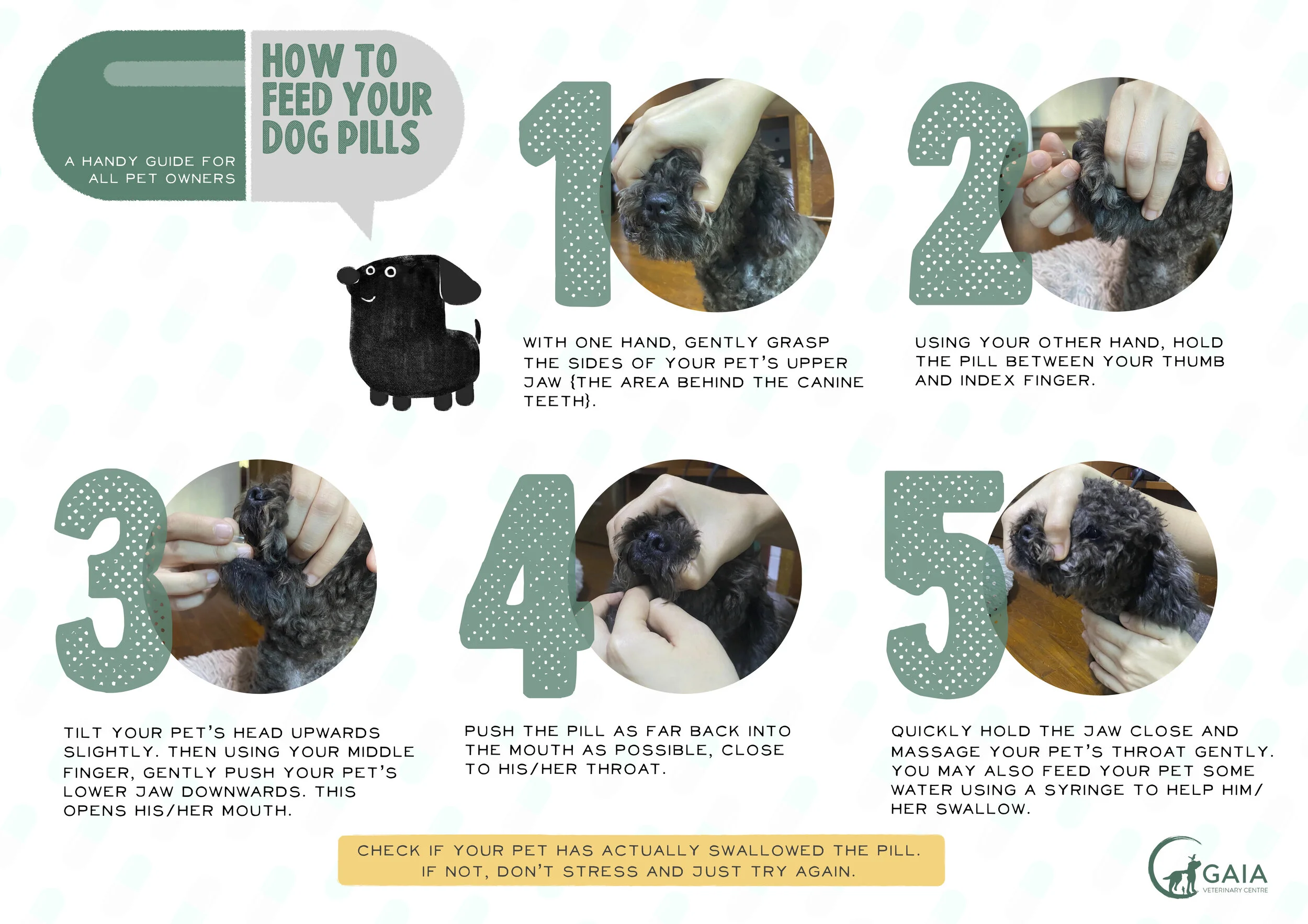 Handy Handout How To Feed Your Dog Pills GAIAVETS