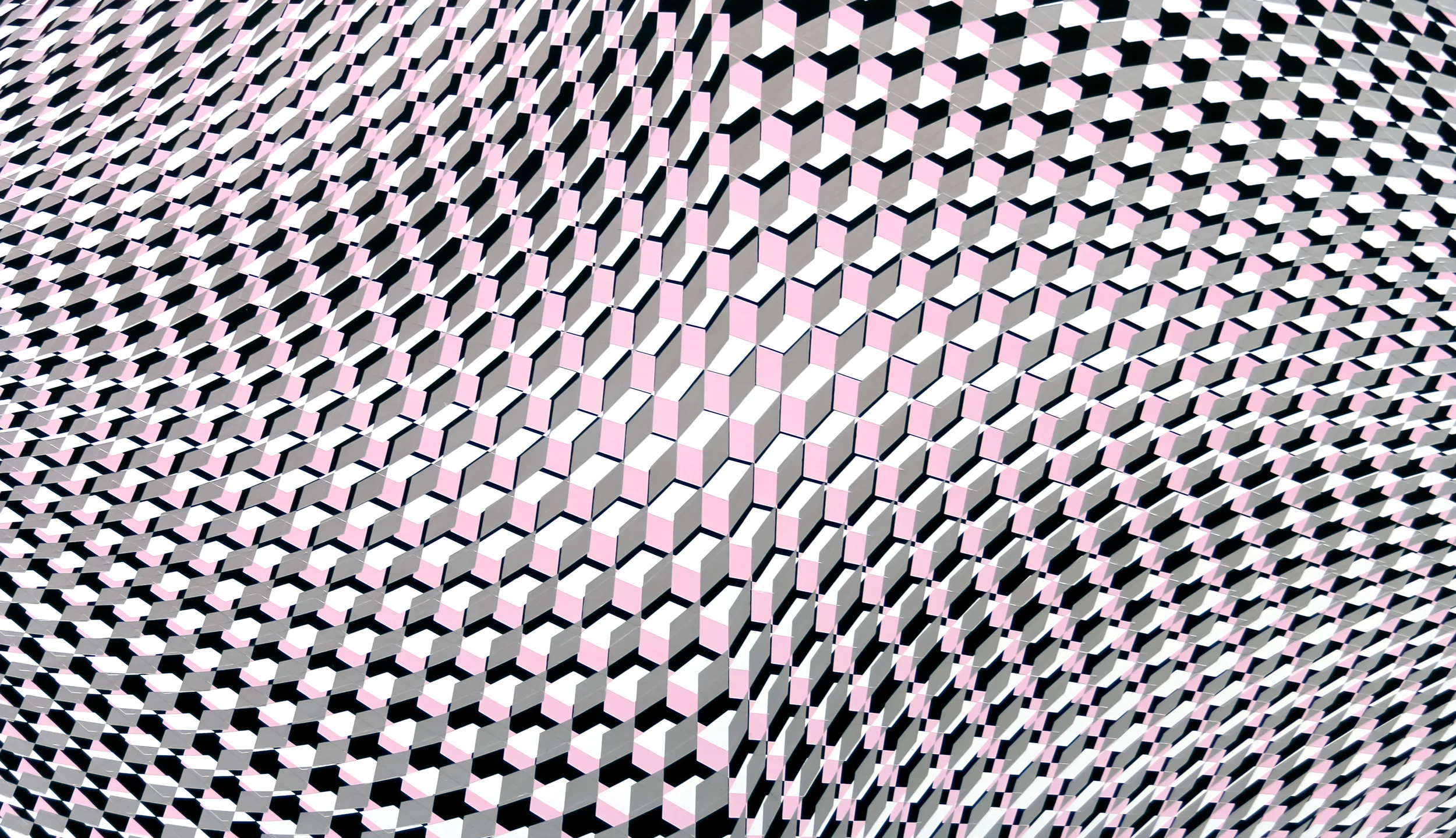 pythonpink_final_7690_web.jpg