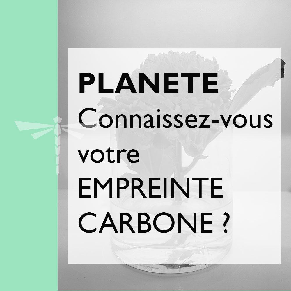 Edition 01 - PLANETE