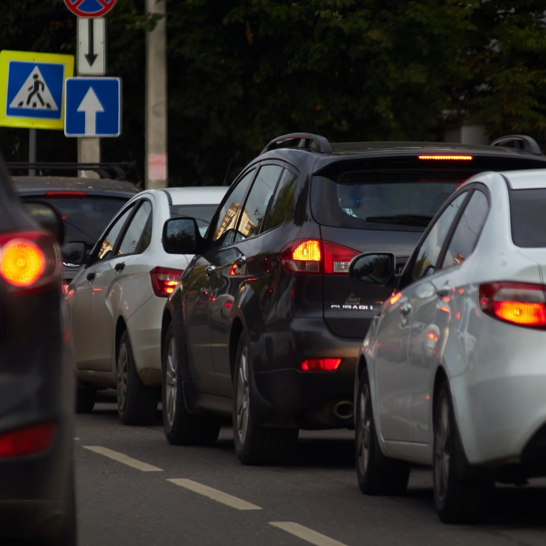 La fede vive di pazienza - Giacomo 5,7-12
