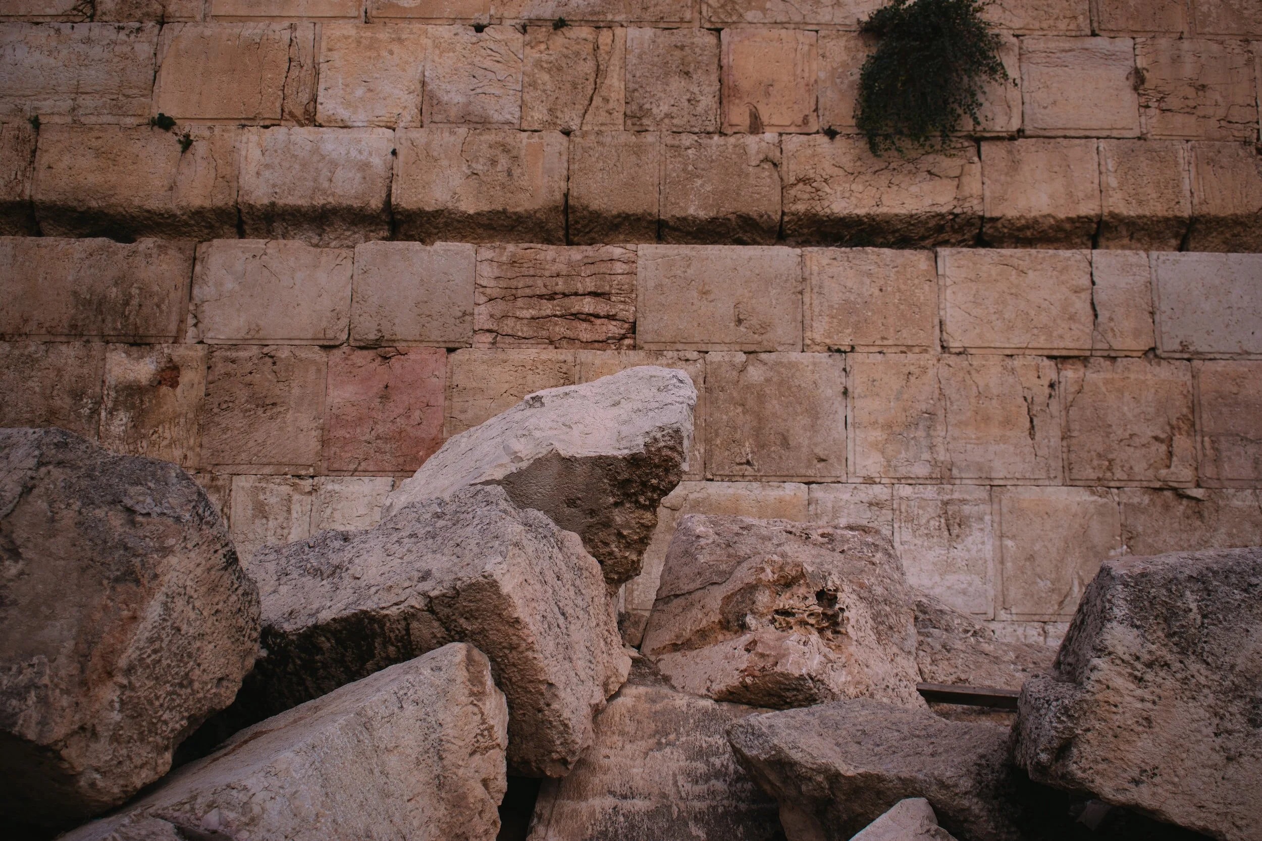 Seguendo Gesù, imitando Gesù - Luca 19,28-48