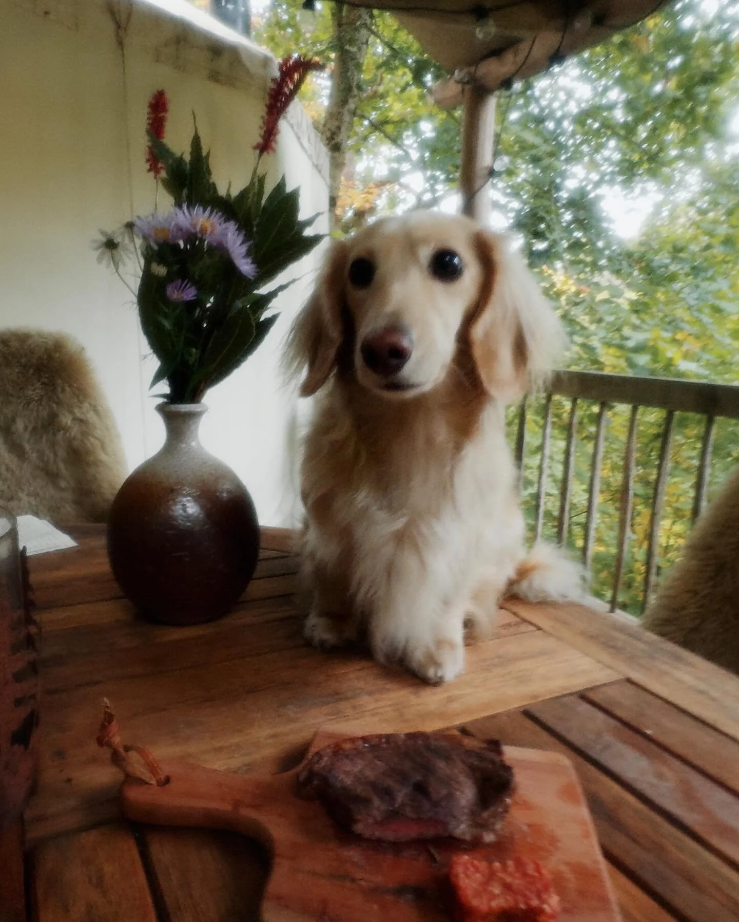 New film, here&rsquo;s what to expect:

* Marcel the dog&rsquo;s second birthday. 
* David Beckham&rsquo;s sausage rolls. 
* An attempt at fishing. 
* Stupid sunglasses. 
* Pooing in a hole. 
* A new family car 

And so much more&hellip; Link in Bio.