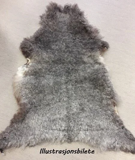 Sheep Skin