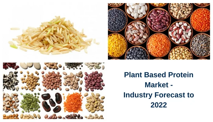 Meticulous Research: Plant-Based Protein Market Worth $10Billion within 5 years.