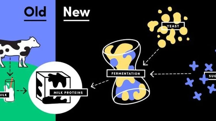 Perfect Day and ADM partner to produce cow free milk proteins