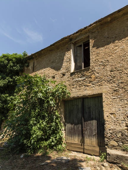 Distinct possibilities for renovation.