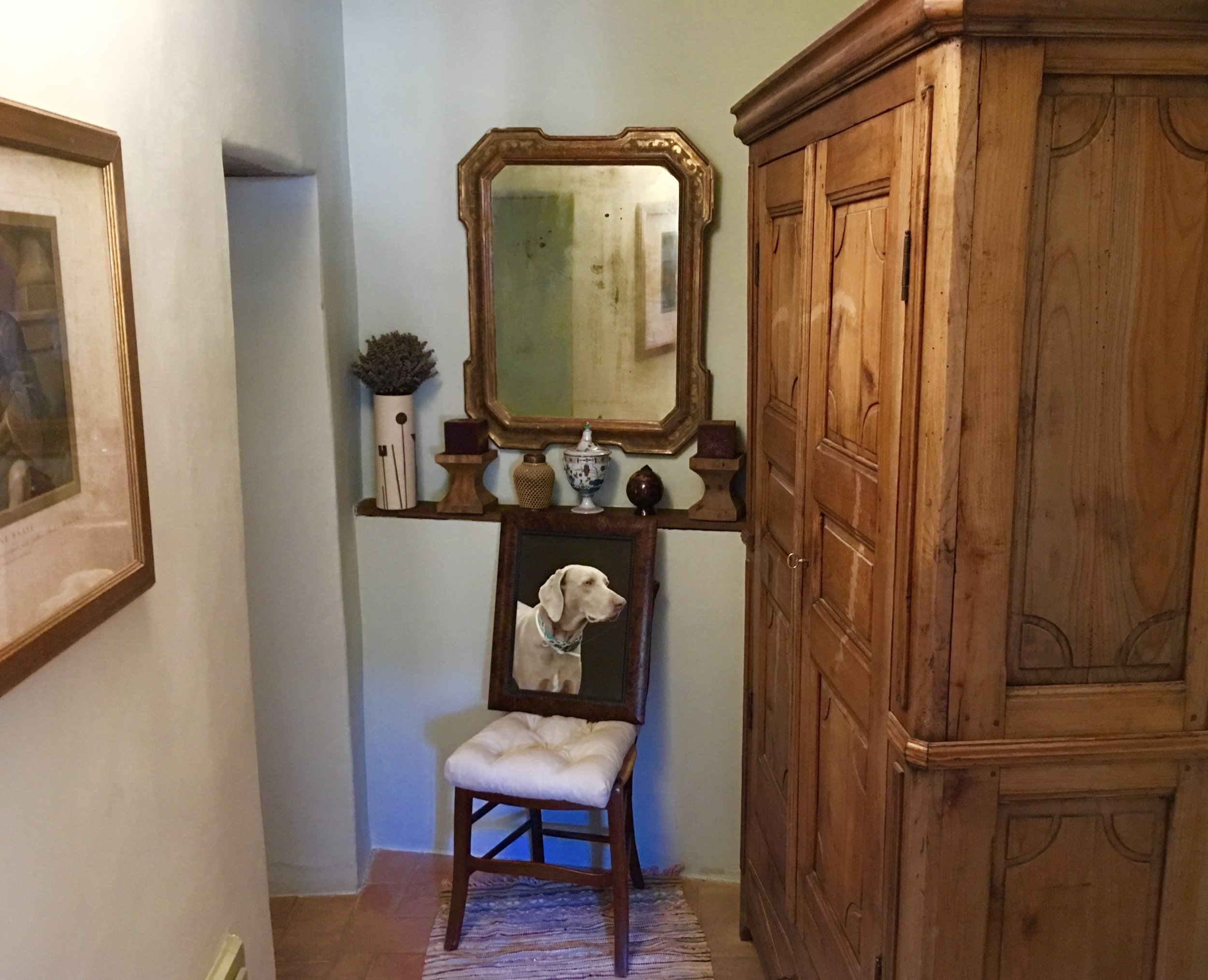 A portrait of our adored Weimaraner, Moses, in the short hallway.