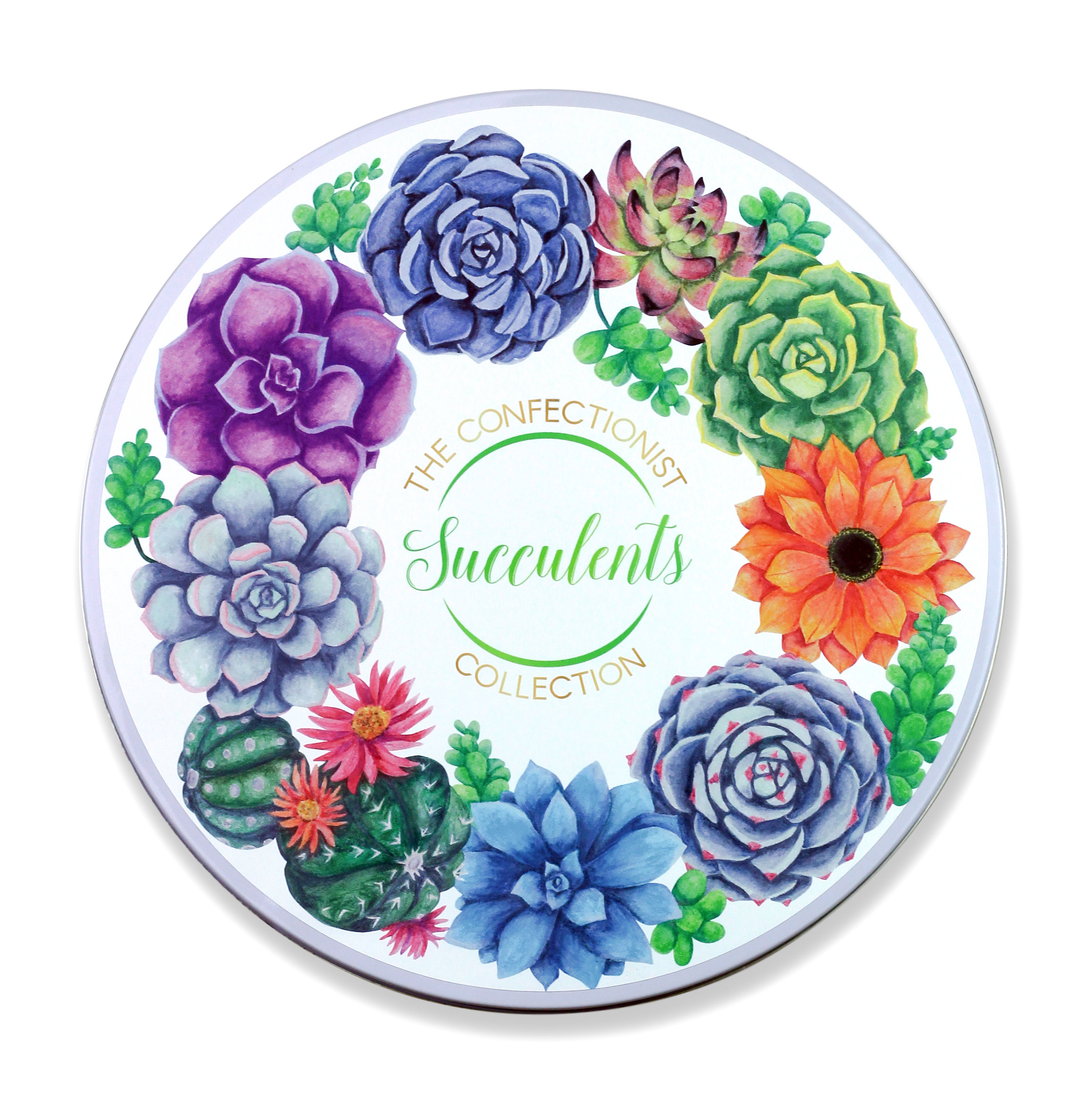 succulents-3.jpg