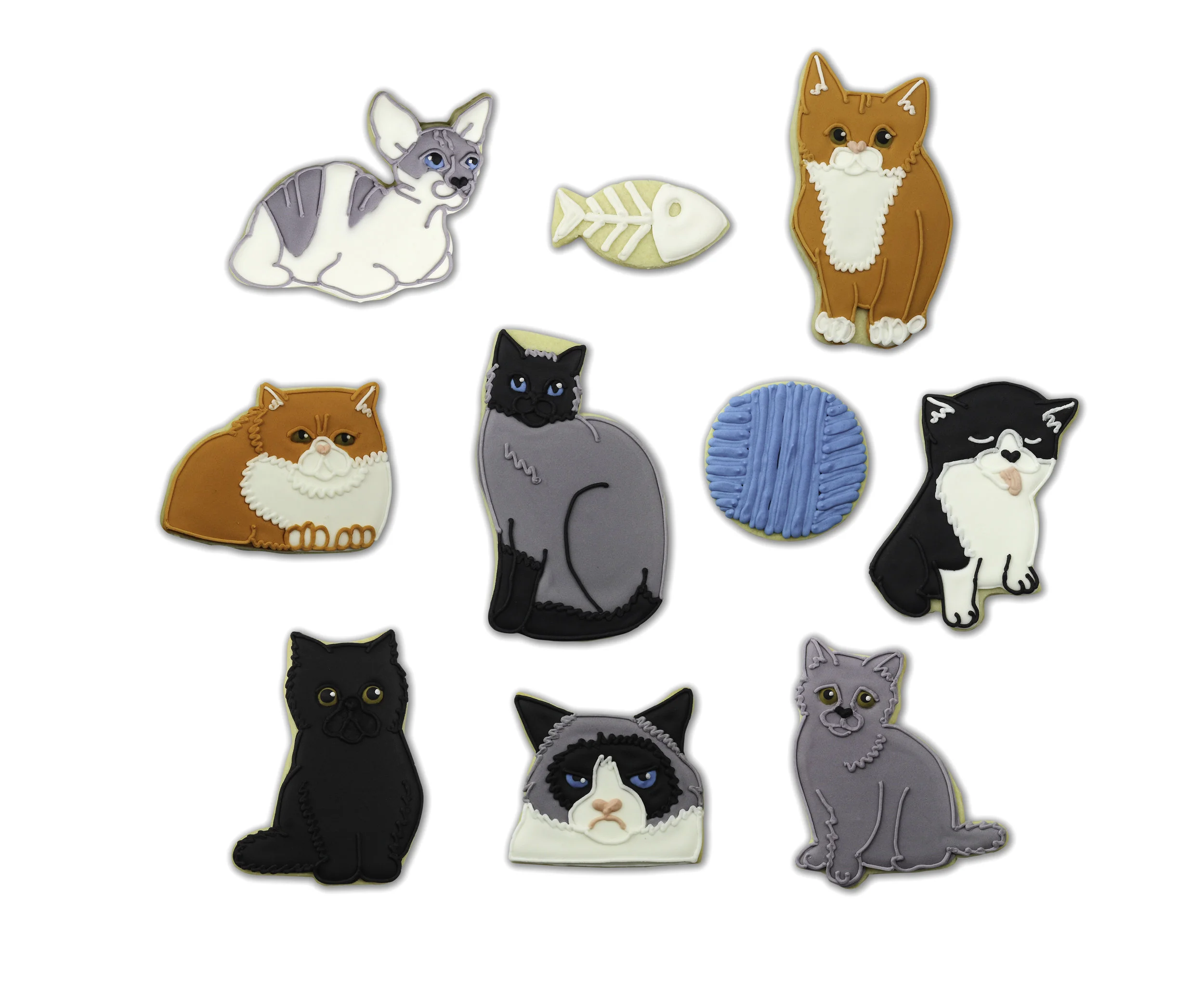 CatTinBiscuits.jpg