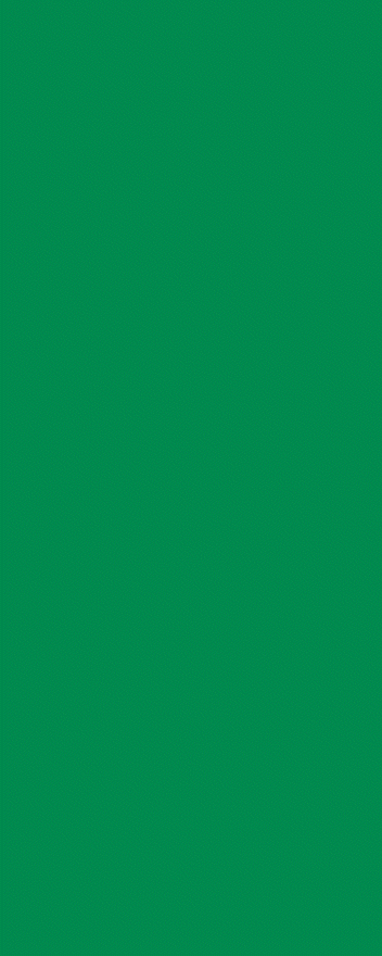 NRL Teams panel - Warriors - Green Side