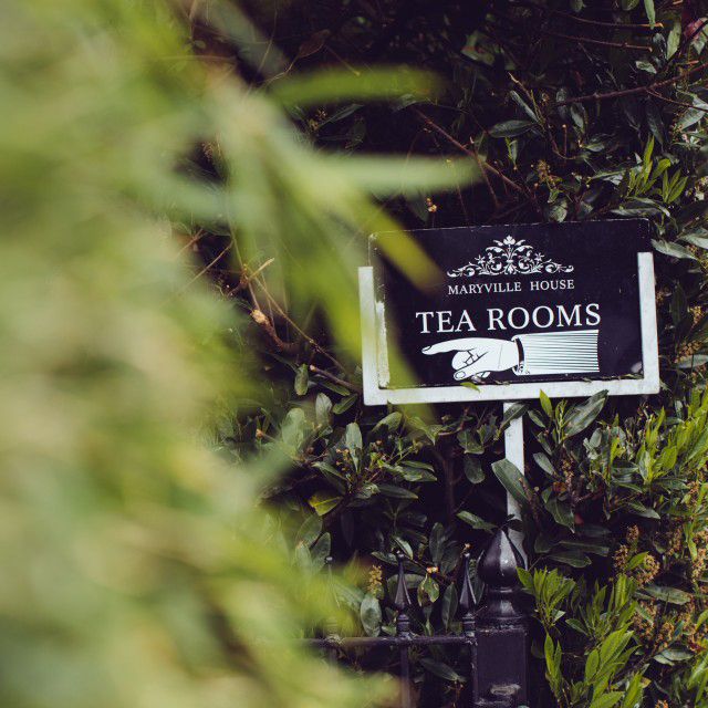 Picture_bamboo-tearoom-sign-11-960x600.jpg