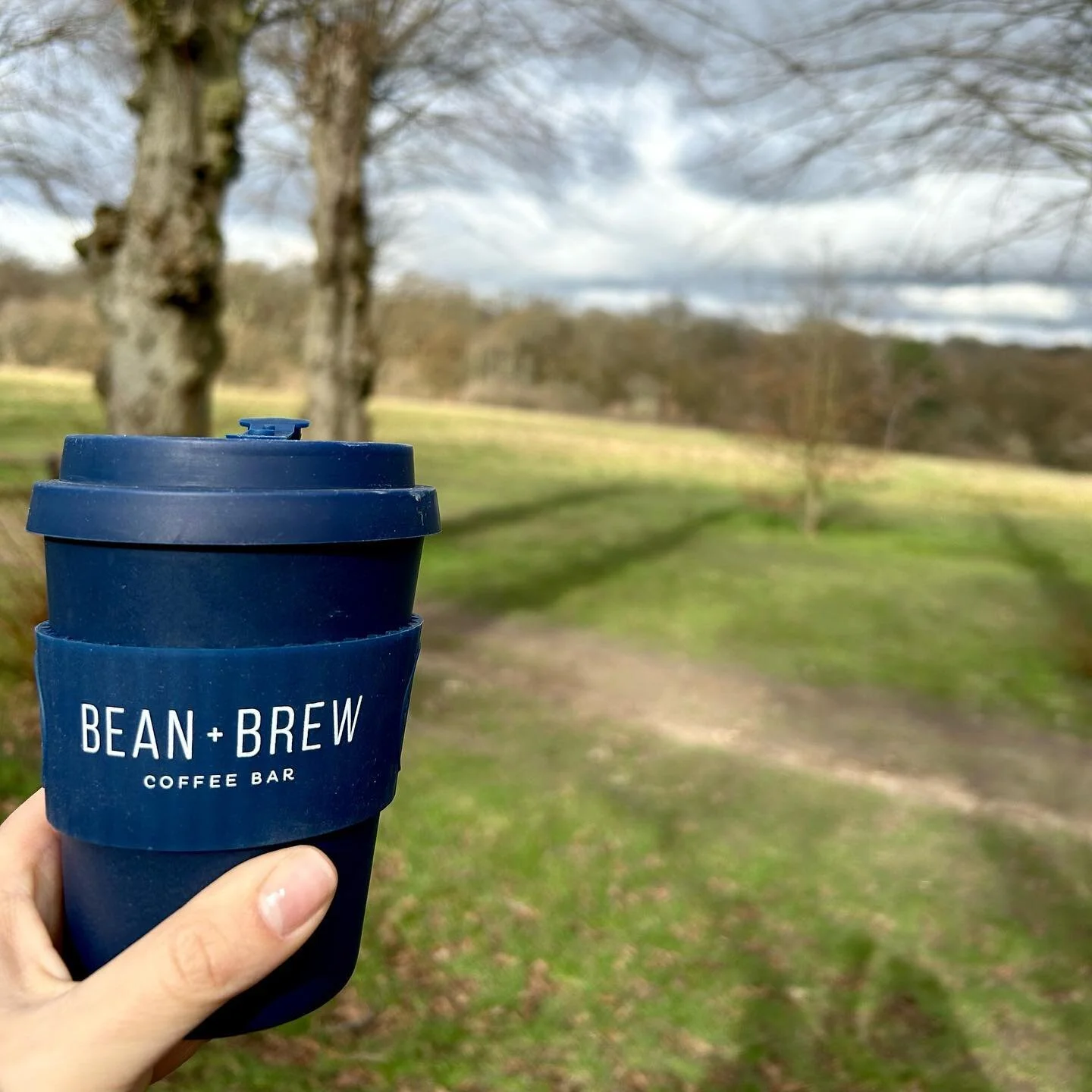BEAN + BREW