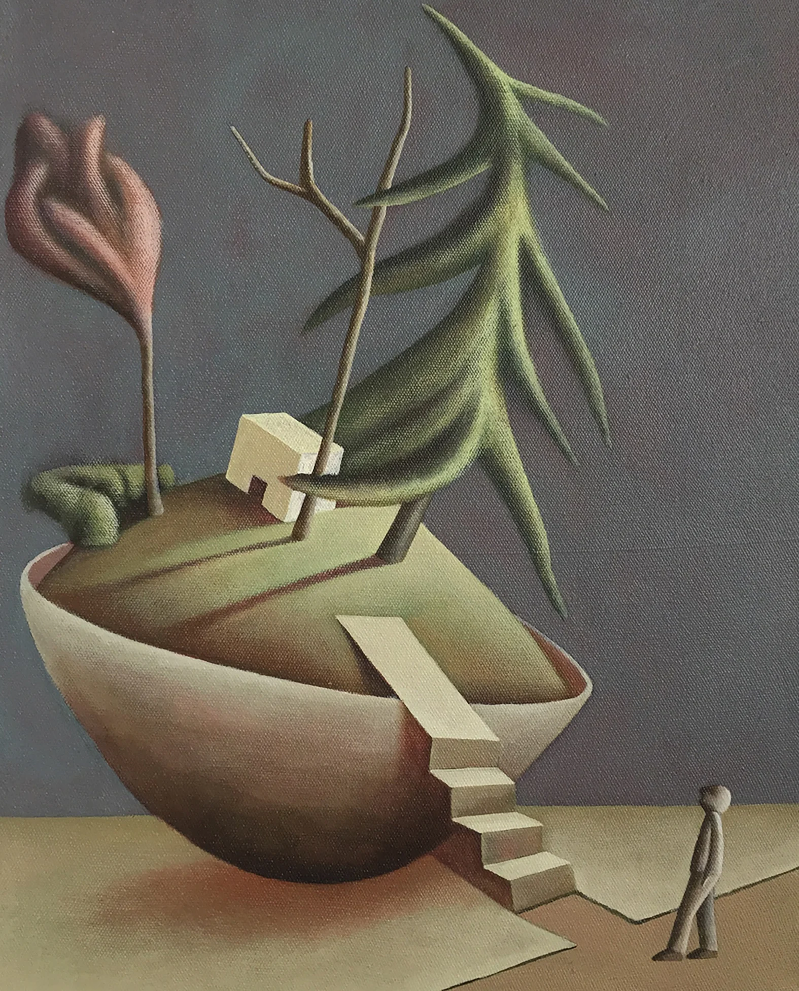 40 x 50 cm
