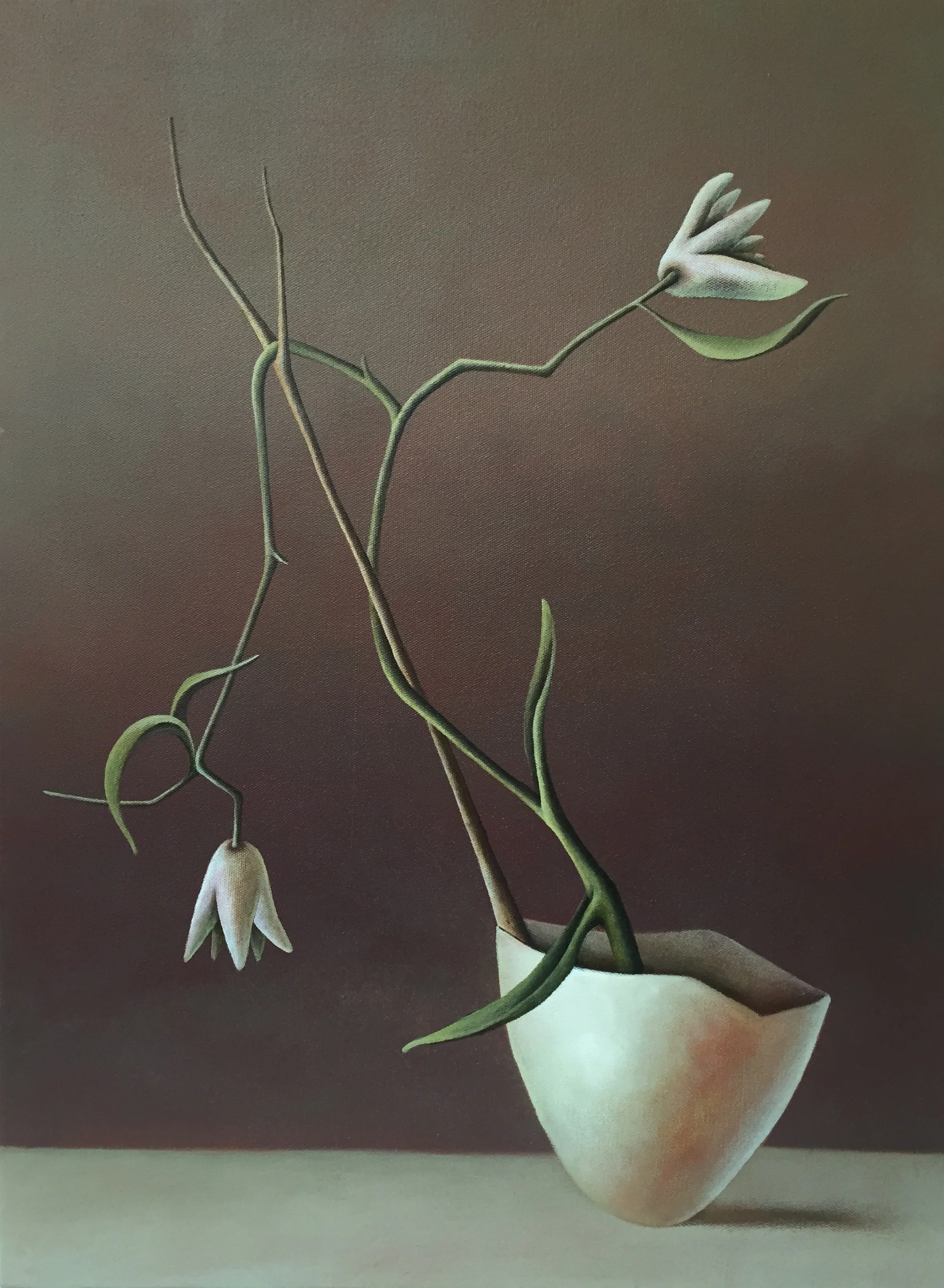 74 x 53 cm