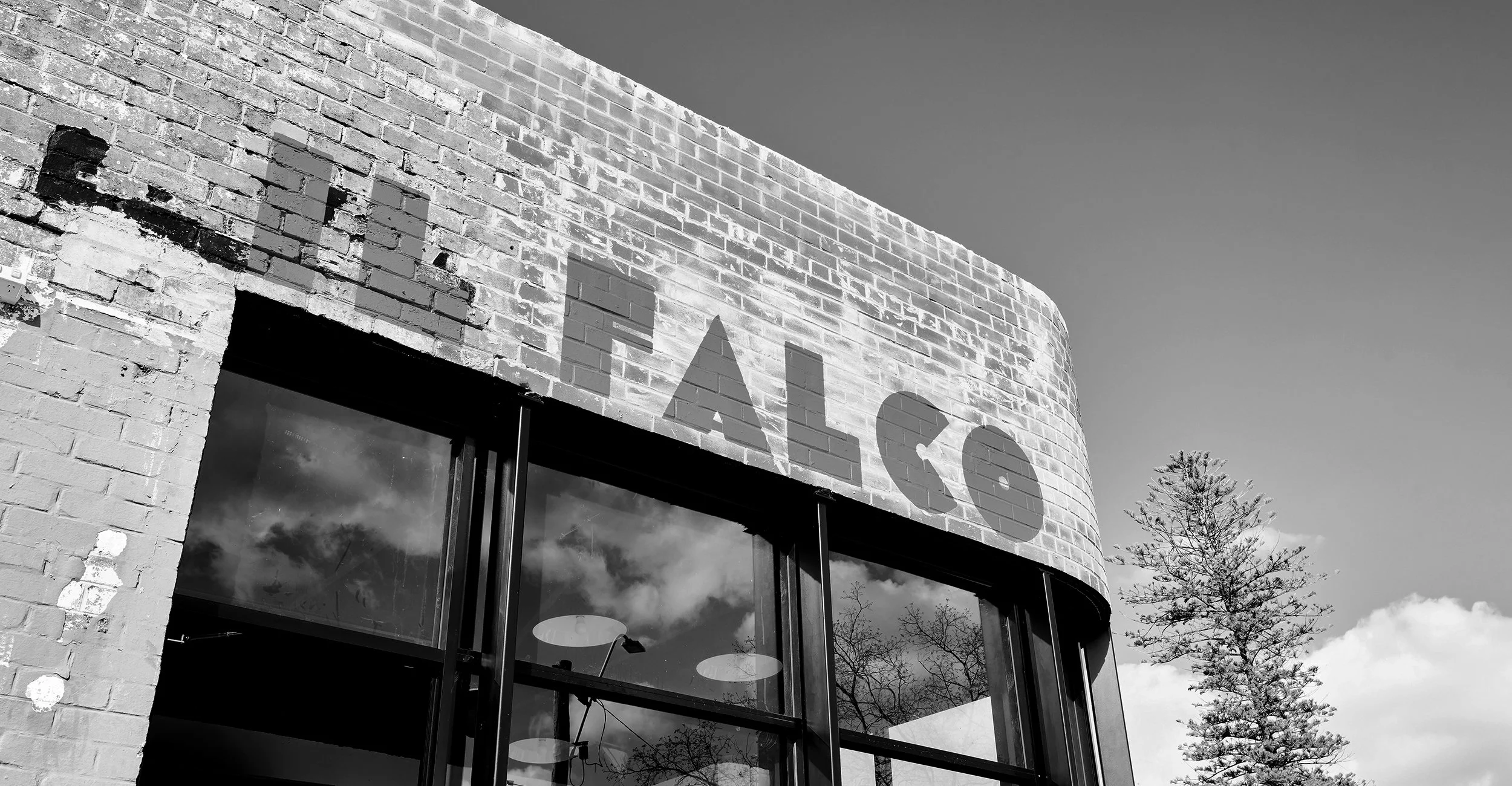 IL FALCO