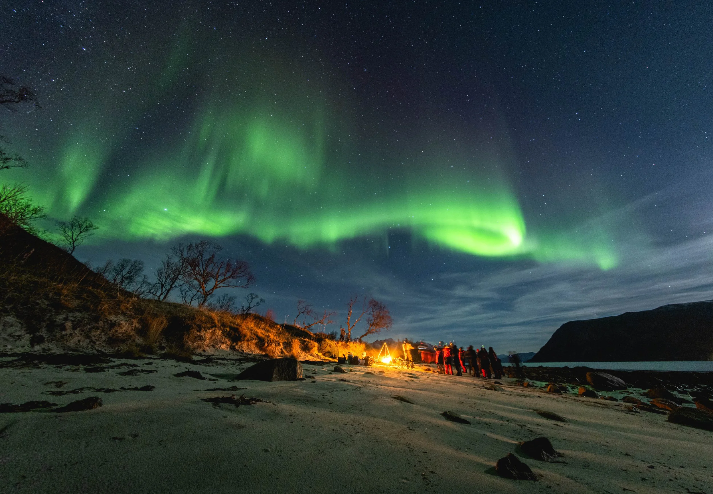 aurora.jpg