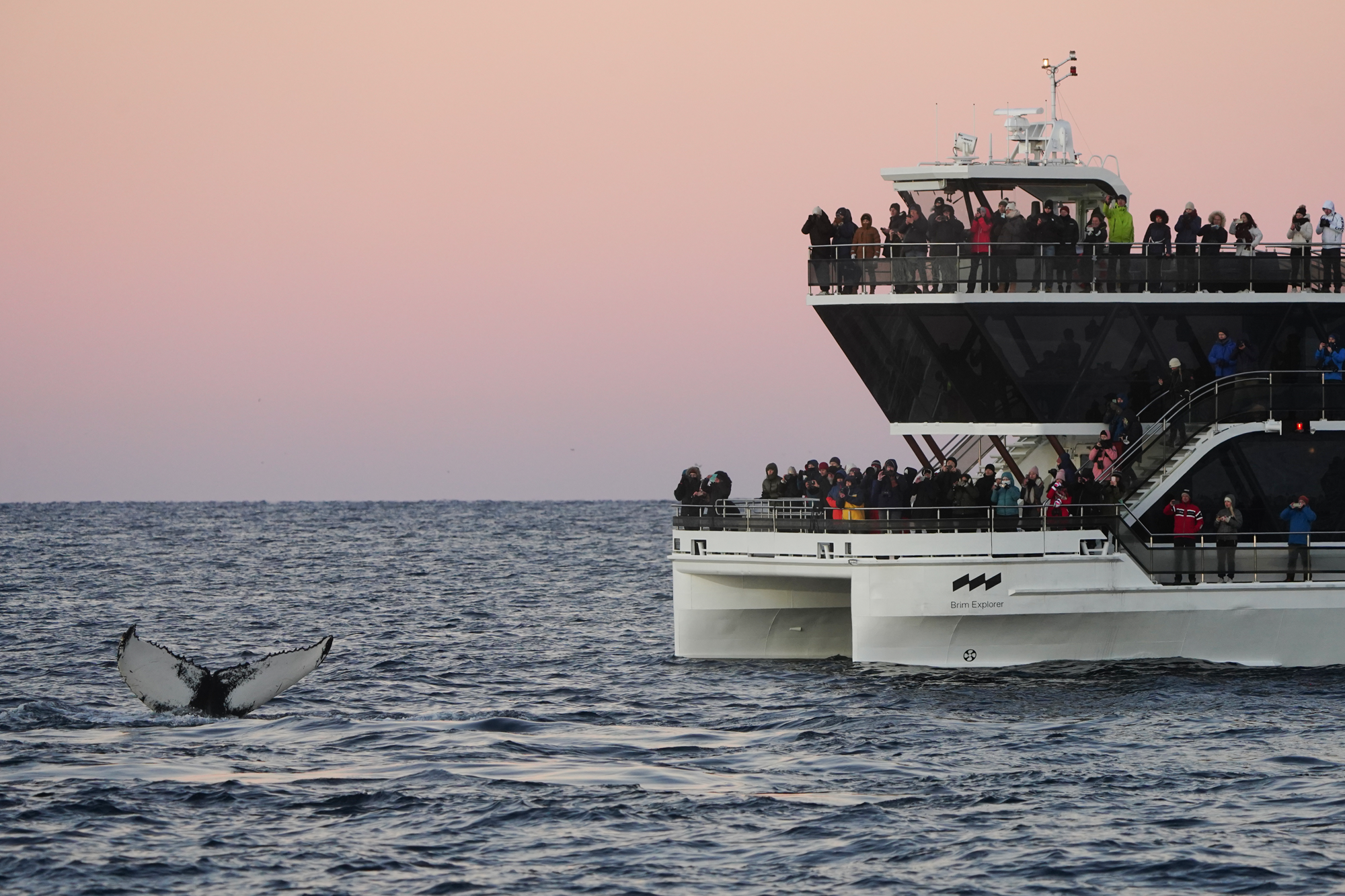 SWW - © Iona Wallis.png