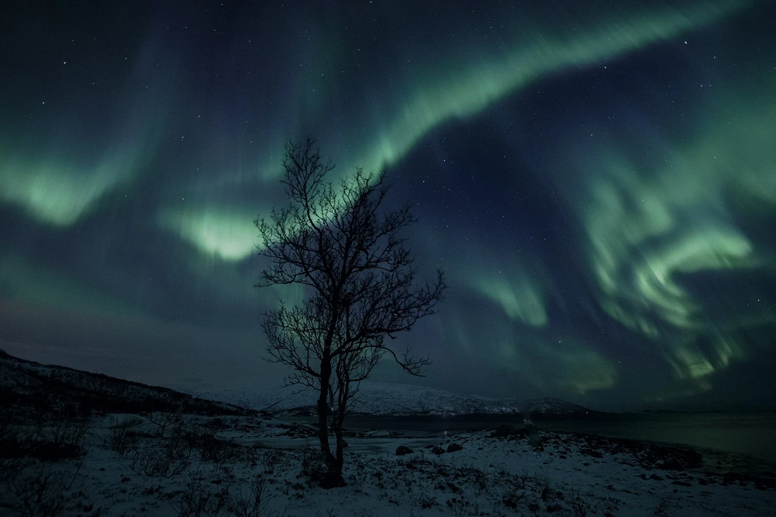 northern-norway-travel-winter-tours-northern-lights-tours-2.jpg