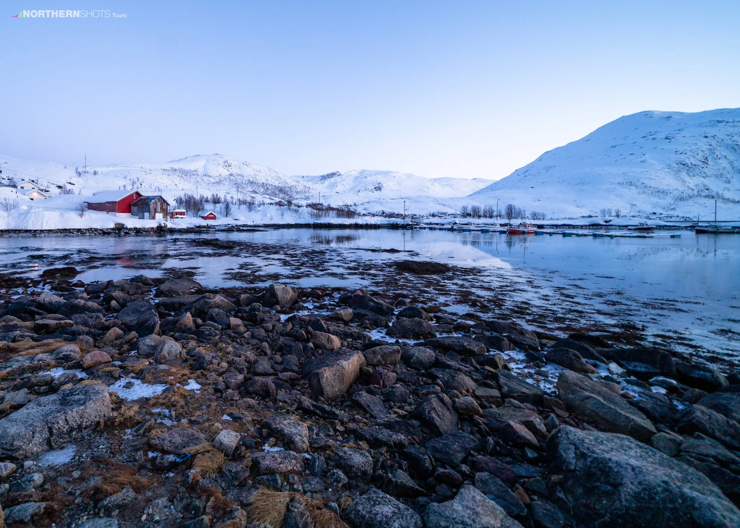 Fjord tours Sommarøy NorthernShots 53931.jpg