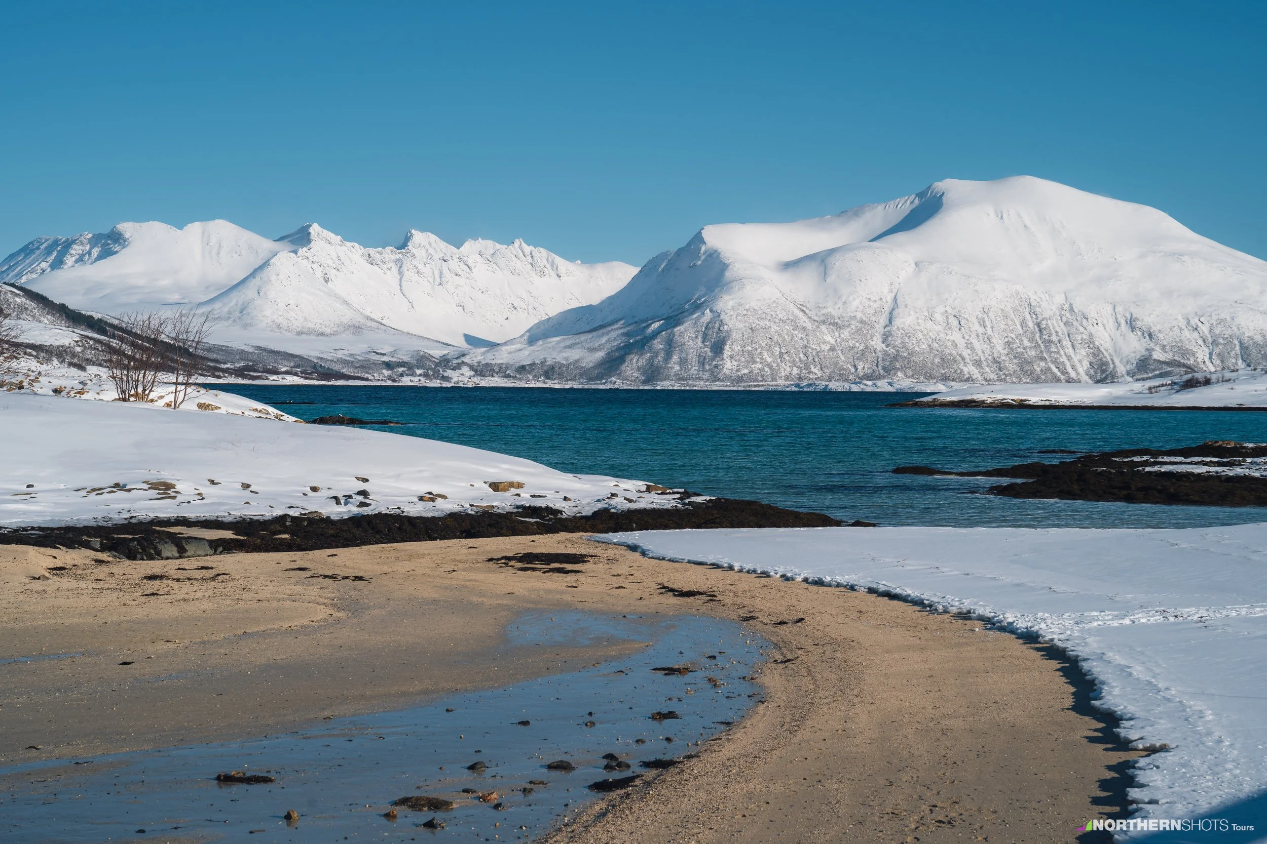 18 Fjord tours Sommarøy NorthernShots 50628.jpg