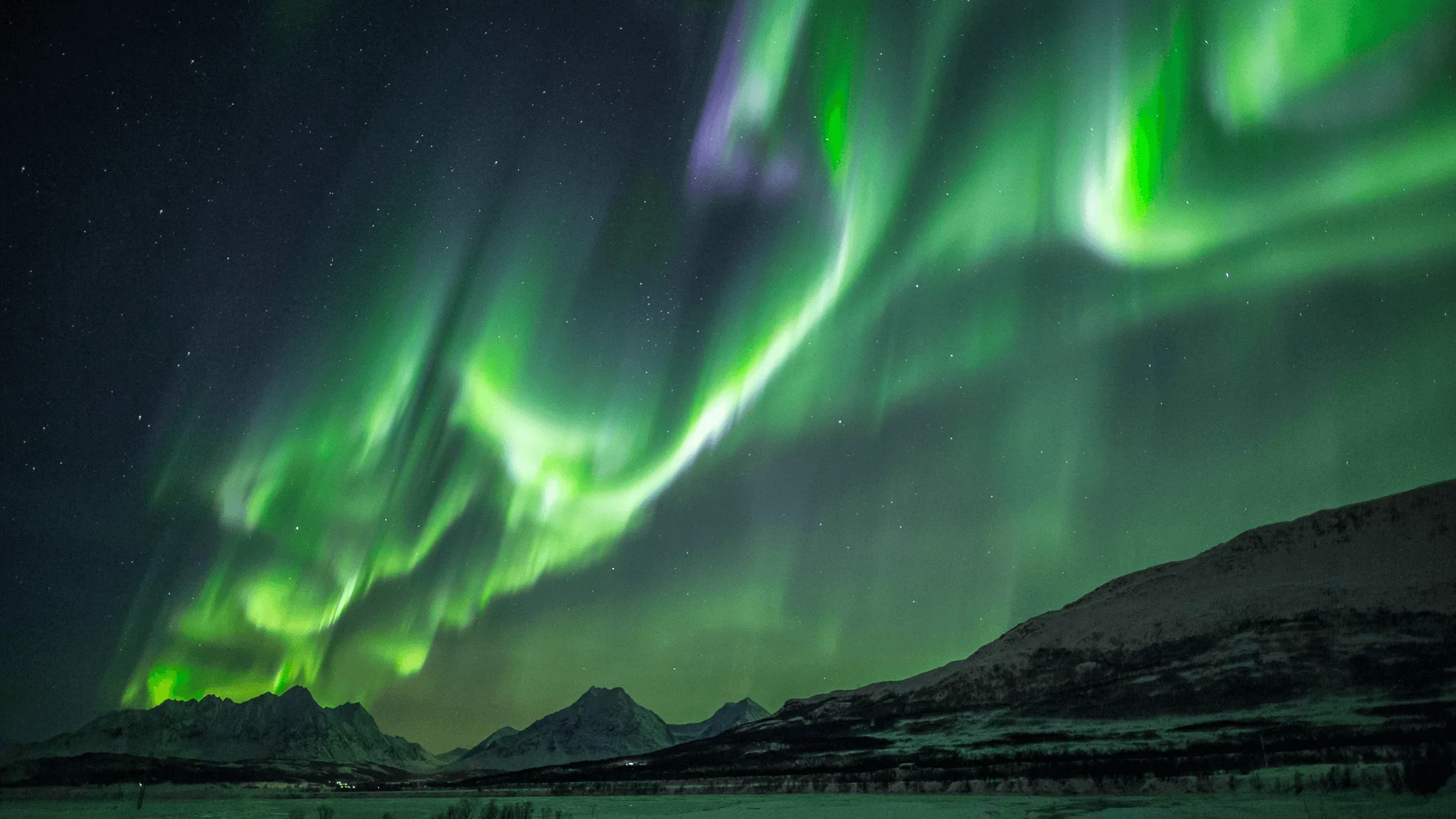 Northern Horizon 1.webp