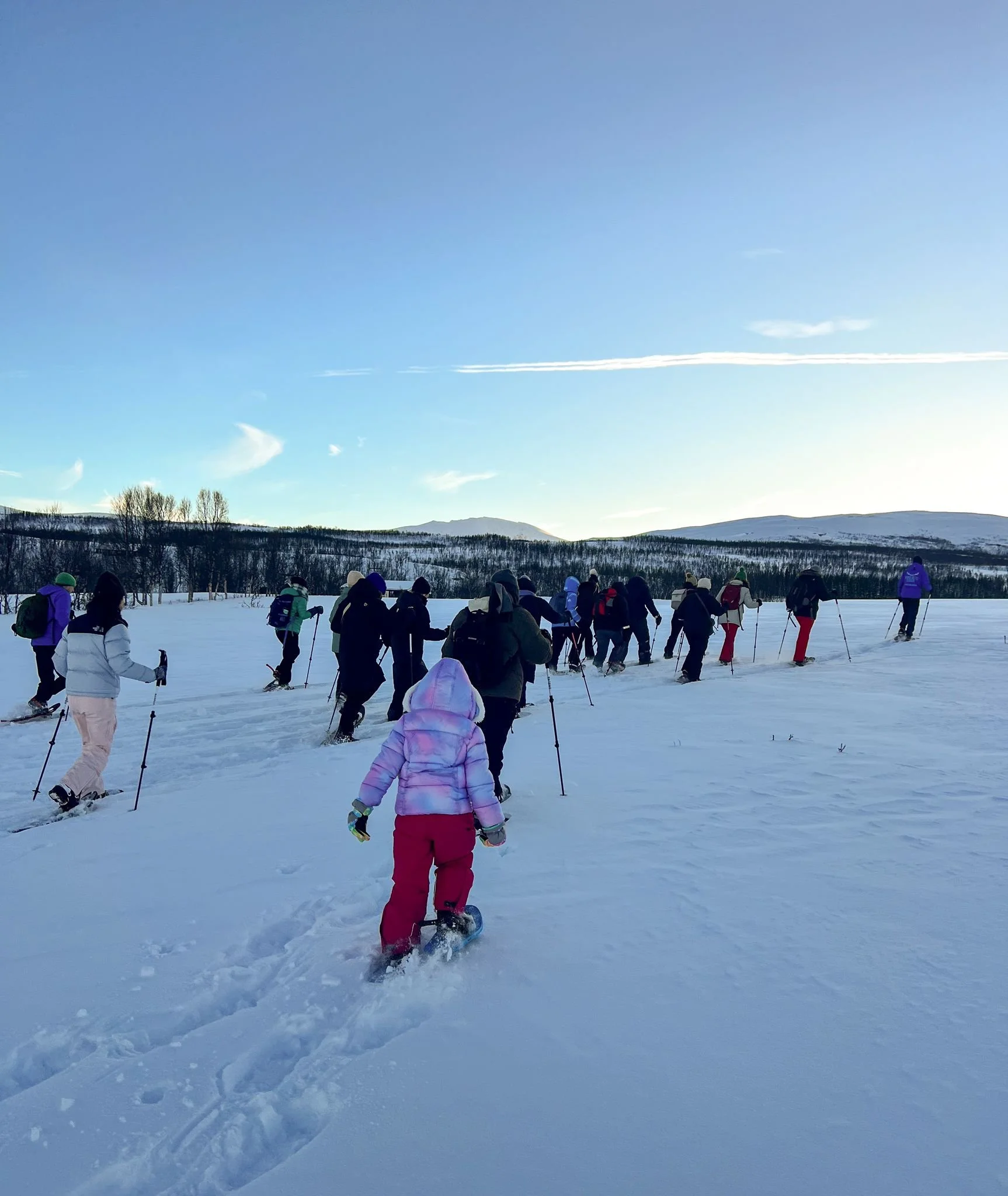 tromso arctic reindeer snowshoeing 4.jpeg