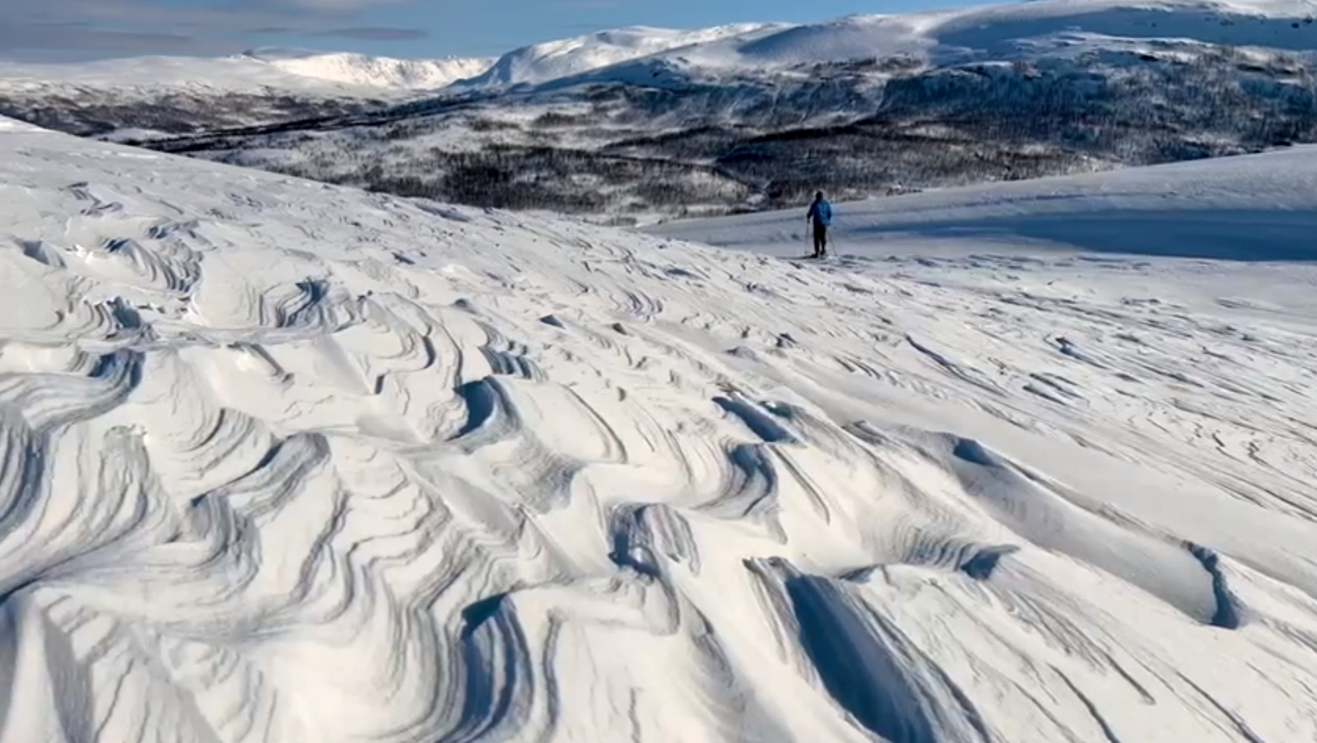 snowshoe8.png