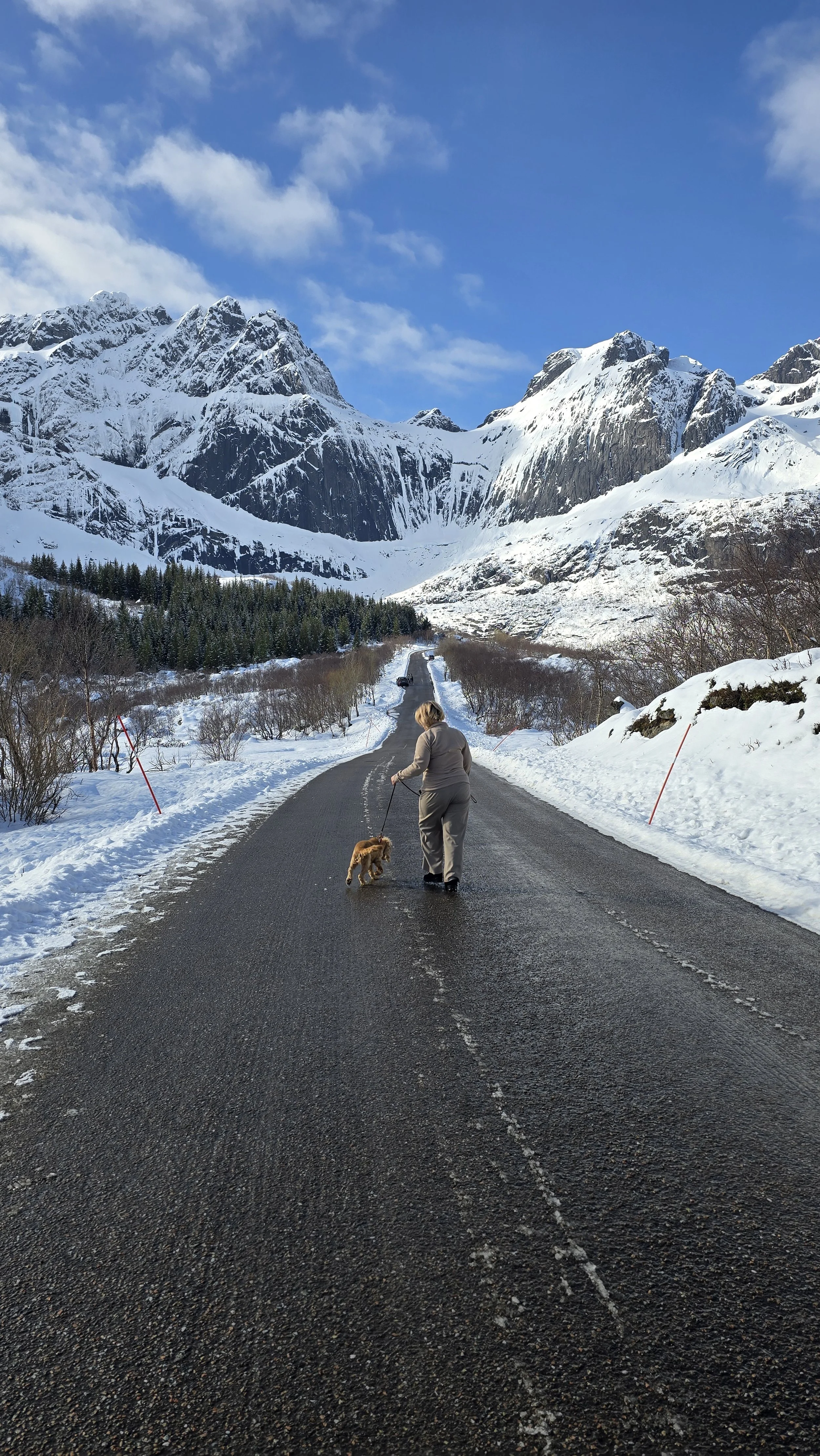 20250413_111937 (1).jpg