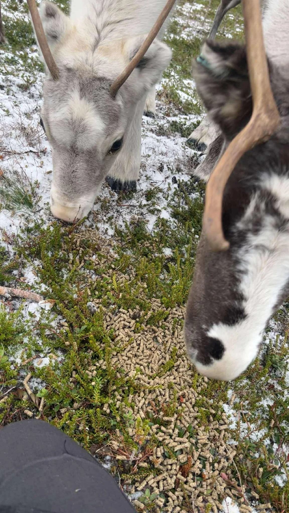 568723013_2718408205158263_6551149615953295289_n (1).jpg