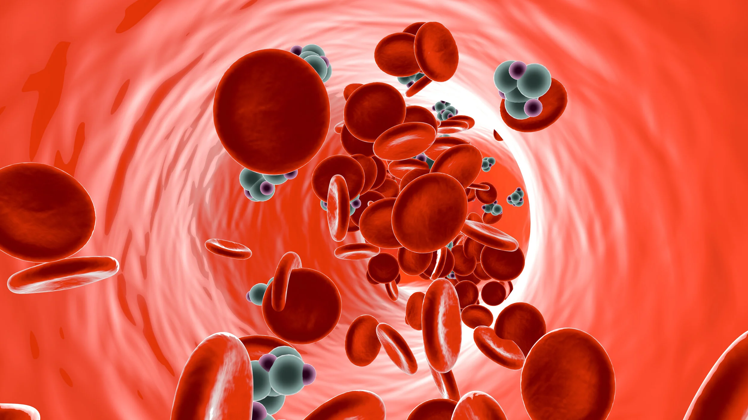 Continuous Glucose Monitoring with Levels Metabolic Fitness