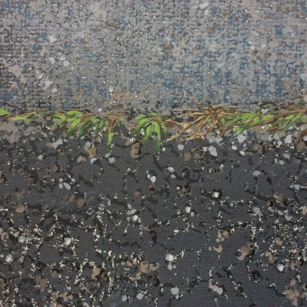 Pavement3.JPG
