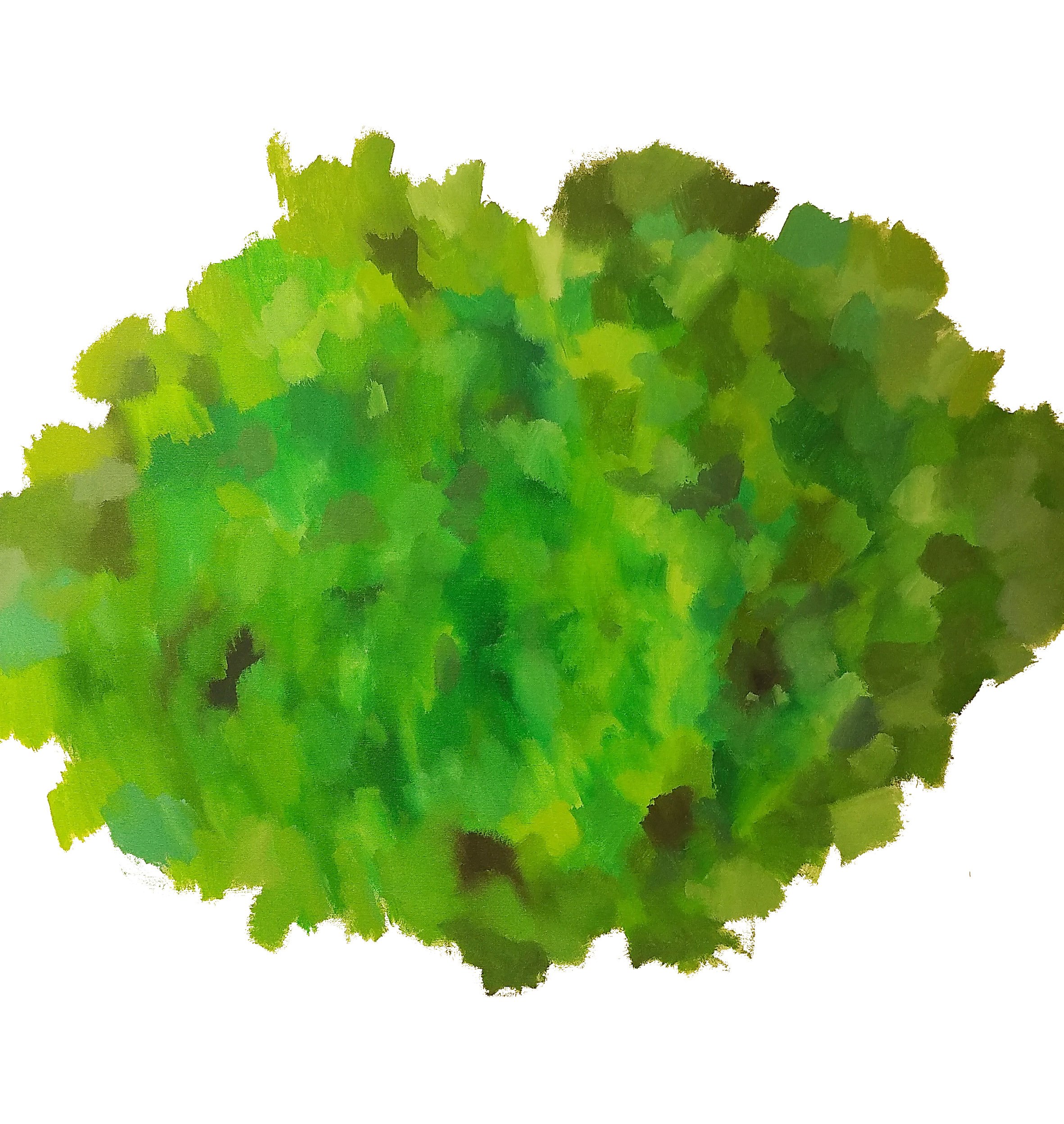 chlorophyll.jpg