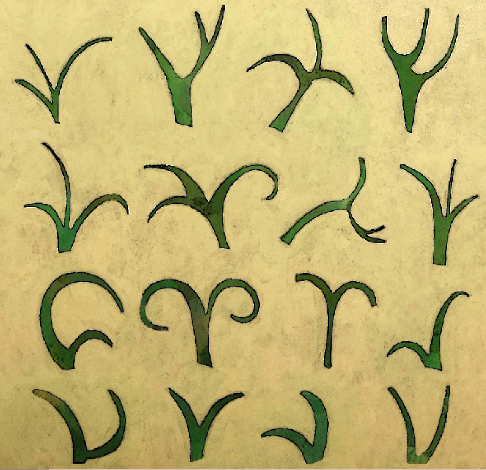 Algorithm of growth.png