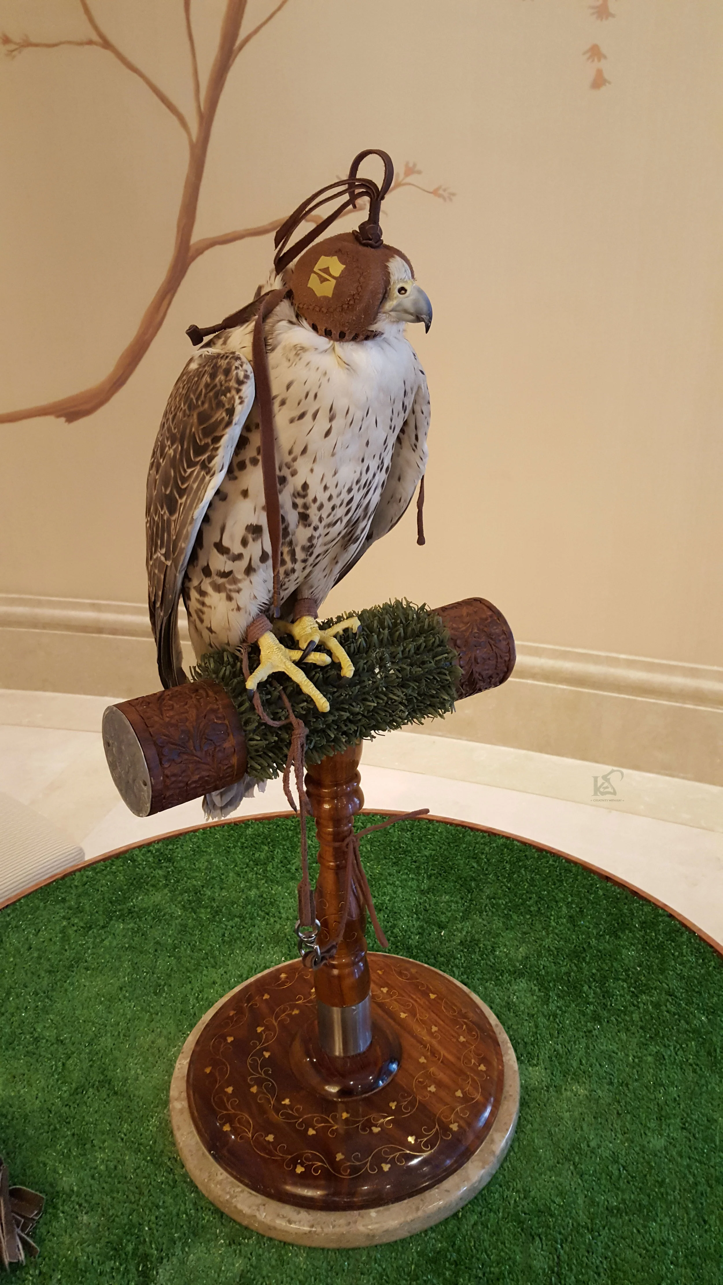 I held a falcon for the first time here!