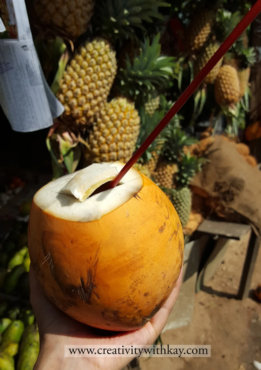 qatar-travel-blogger-khansa-coconut-water-srilanka.jpg