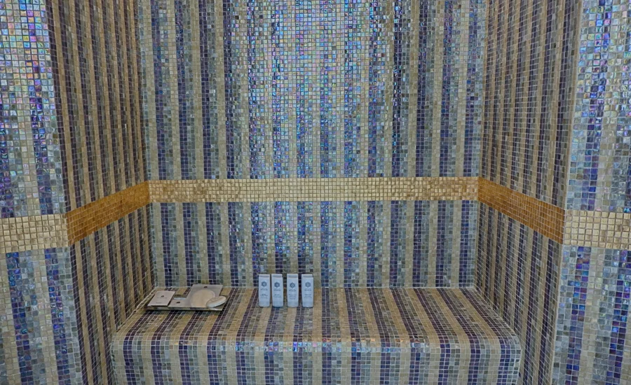 abudhabi-suite-master-shower-area1.jpg