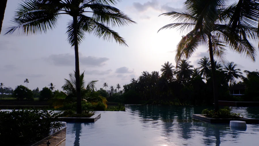 alila-diwa-goa-majorda-pool.jpg