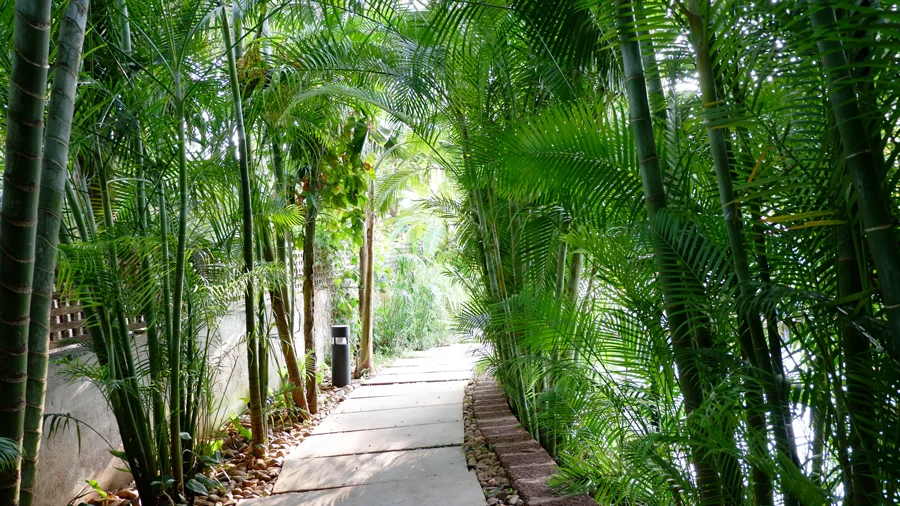 alila-diwa-goa-halal-outside.jpg