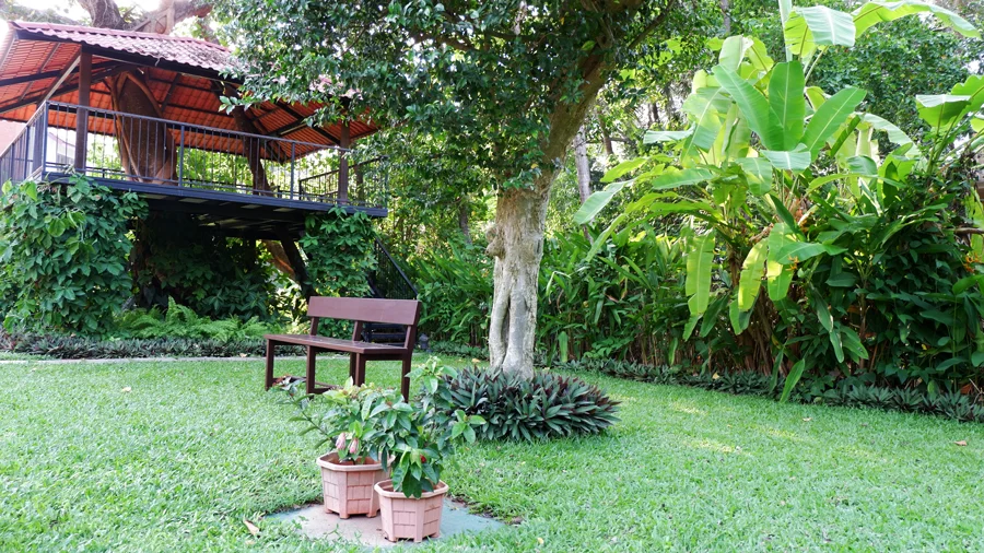 alila-diwa-goa-treehouse.jpg