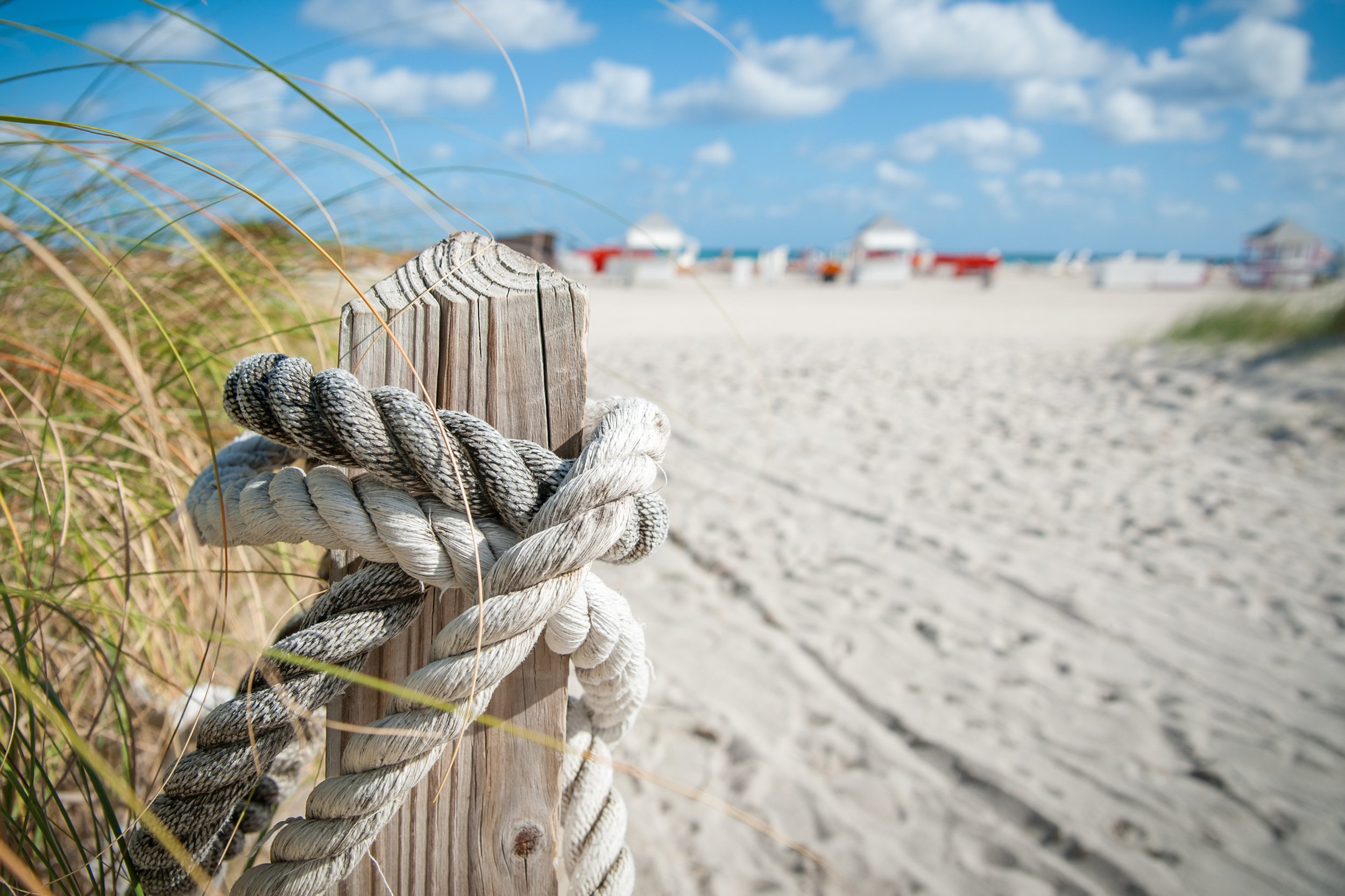 beach-landscape-macro-105294.jpg